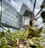 Modern glass building with plants in foreground