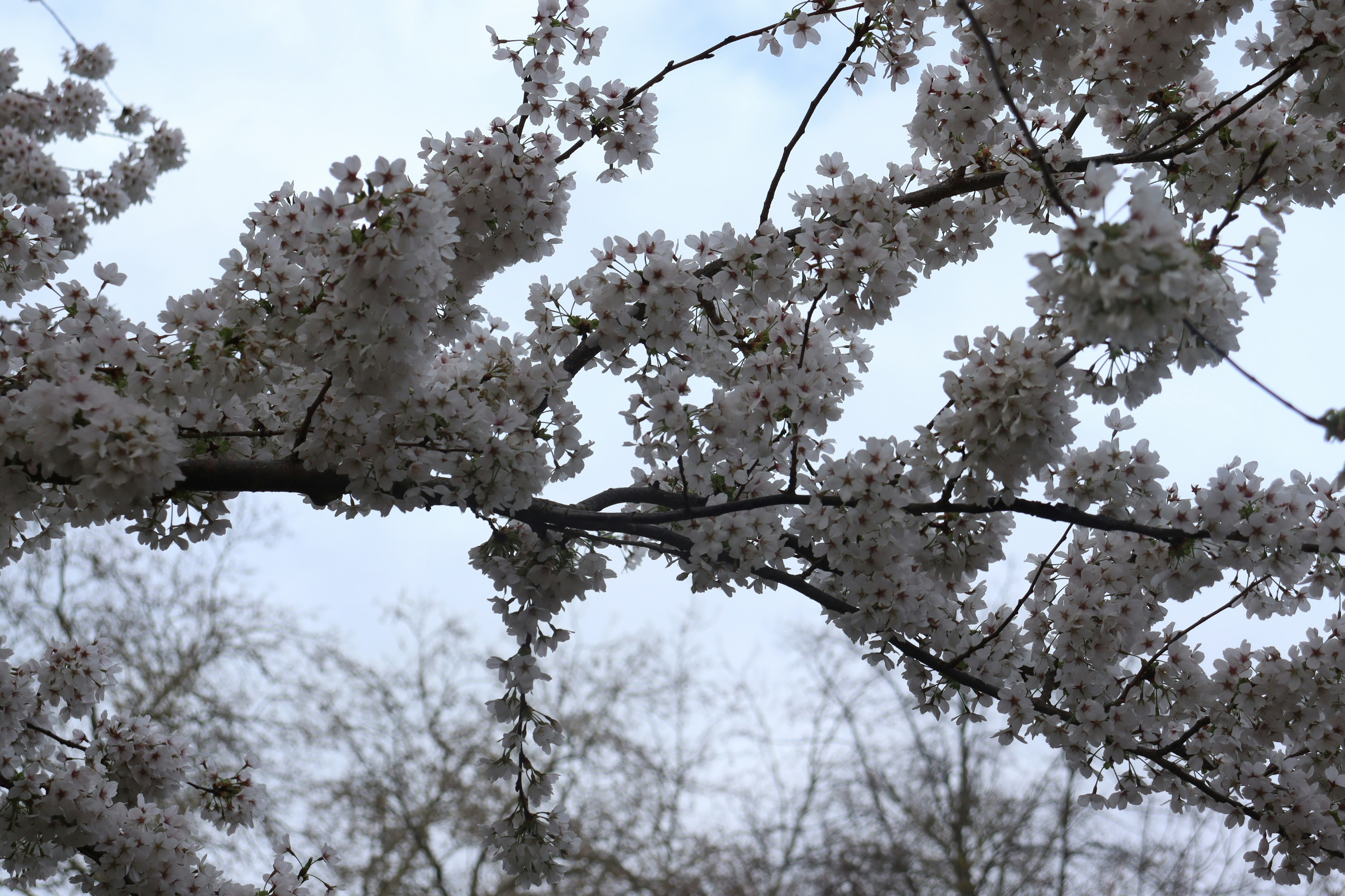 Photo by moonlightendearer