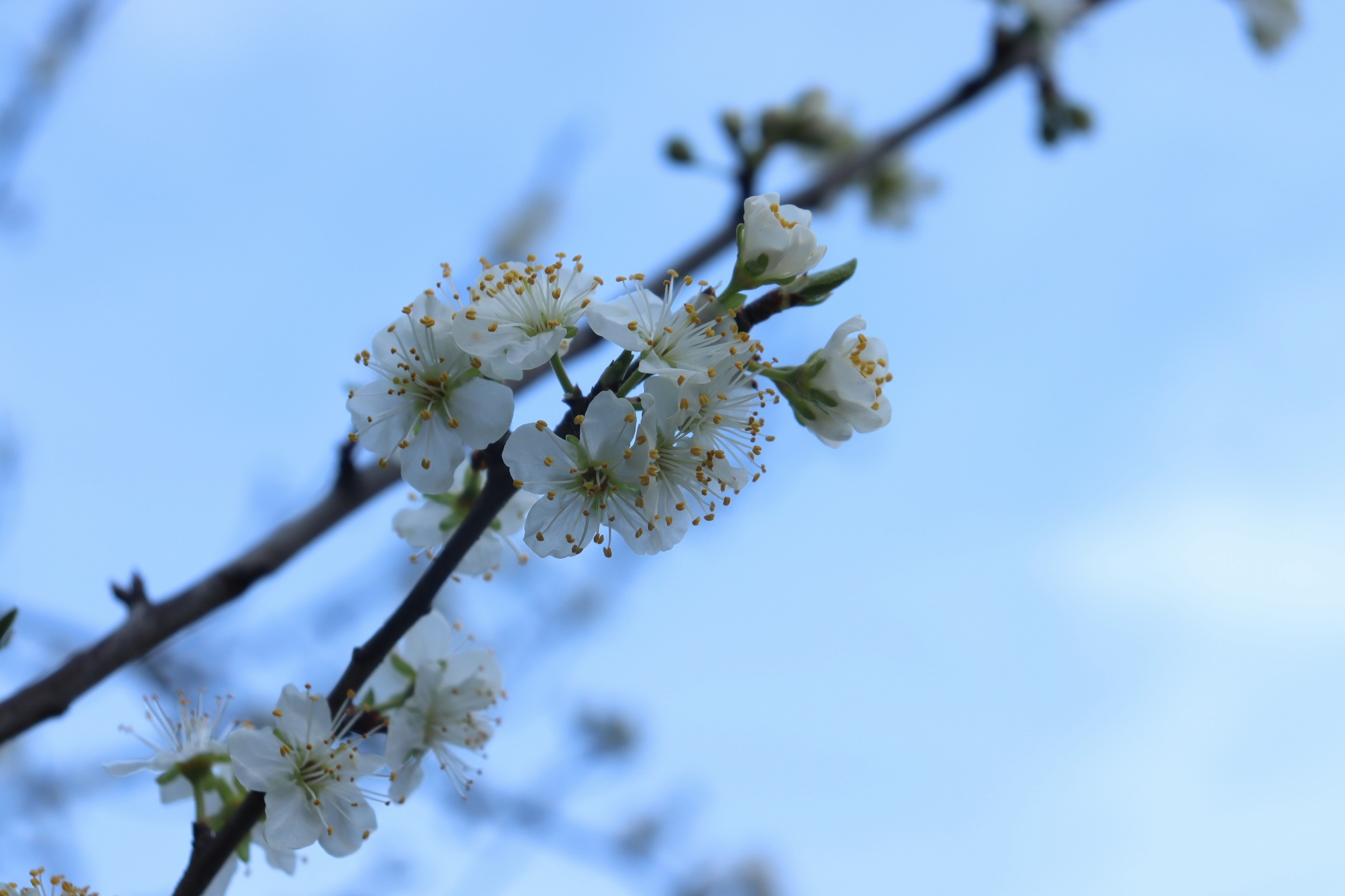 Photo by moonlightendearer