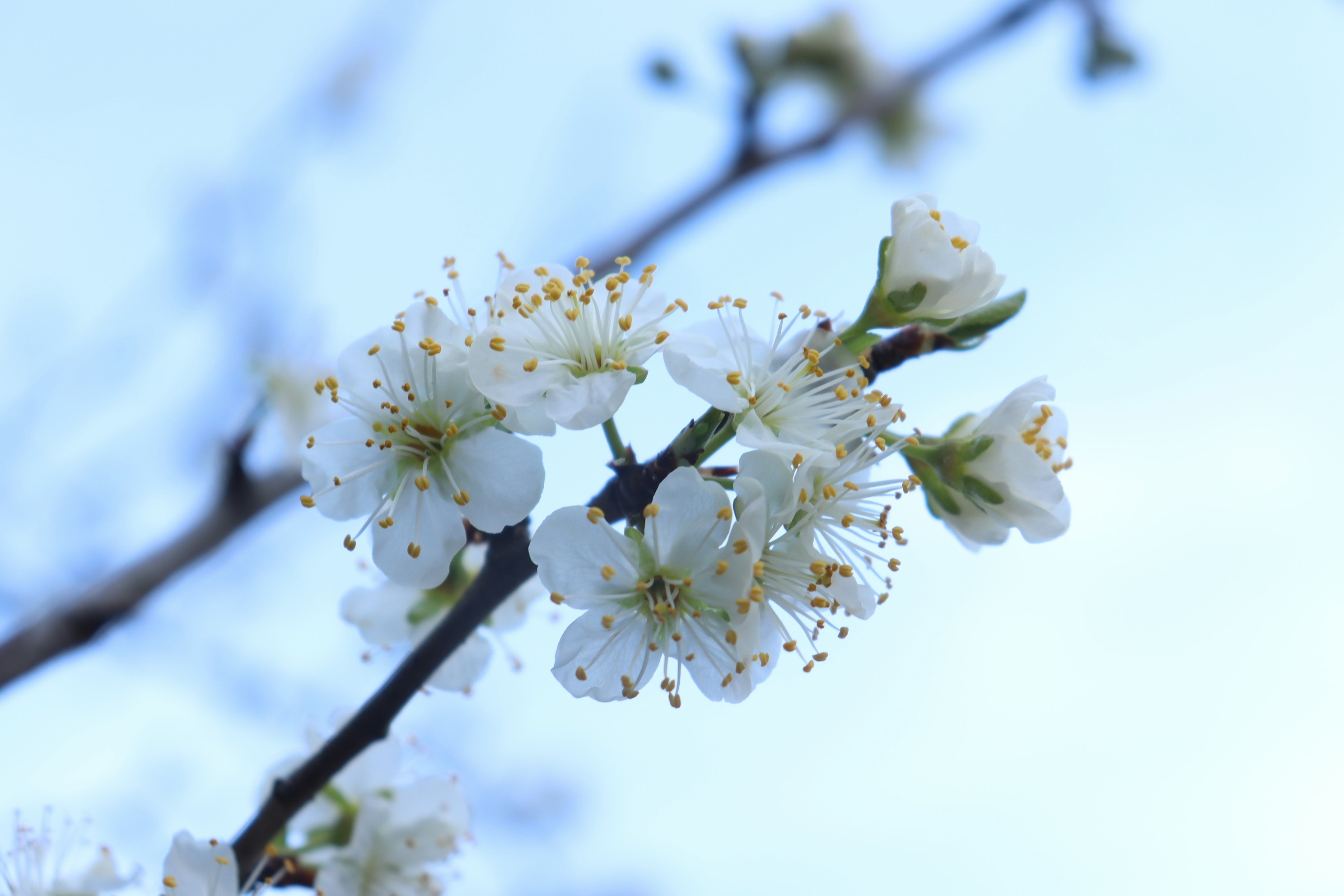 Photo by moonlightendearer