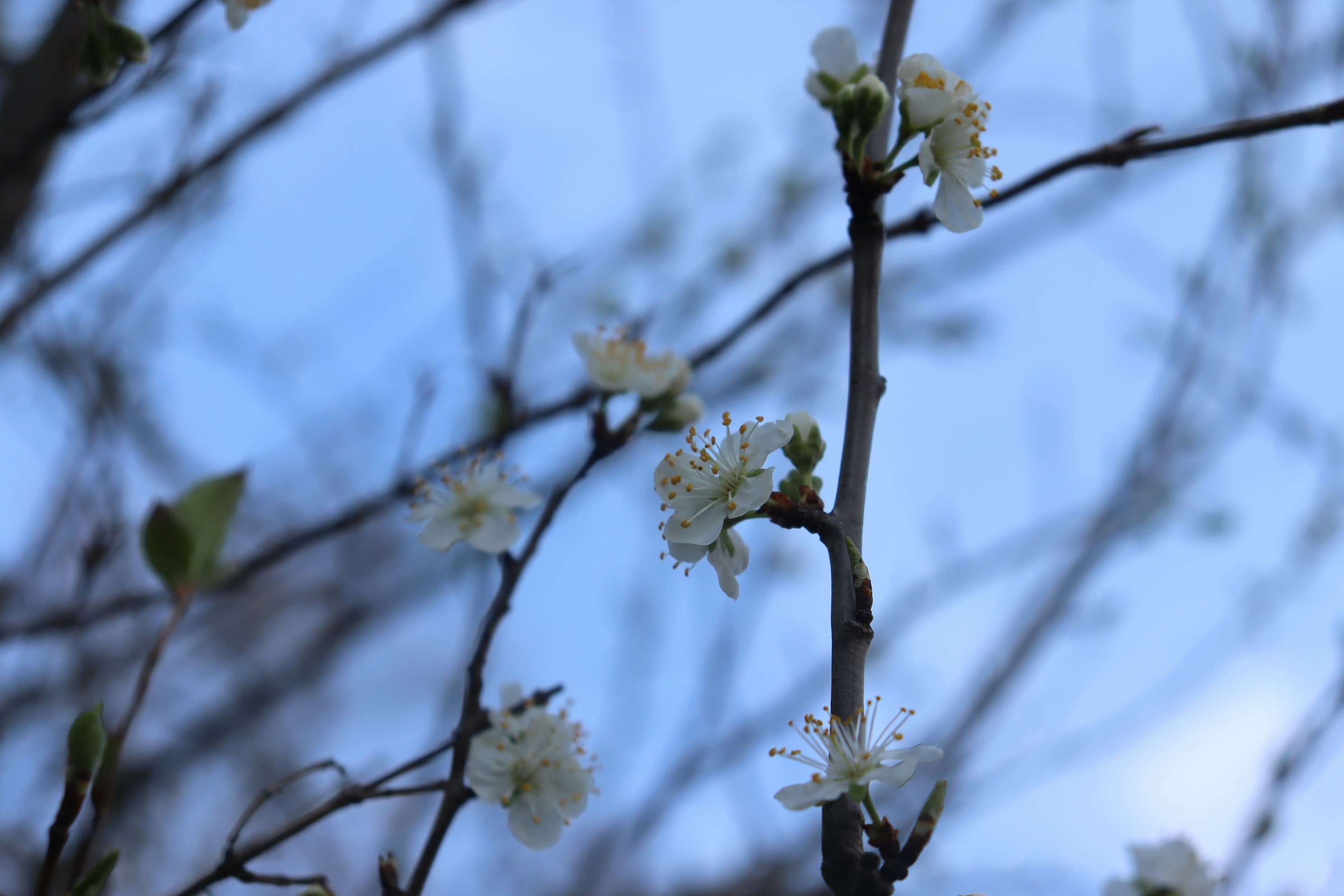 Photo by moonlightendearer