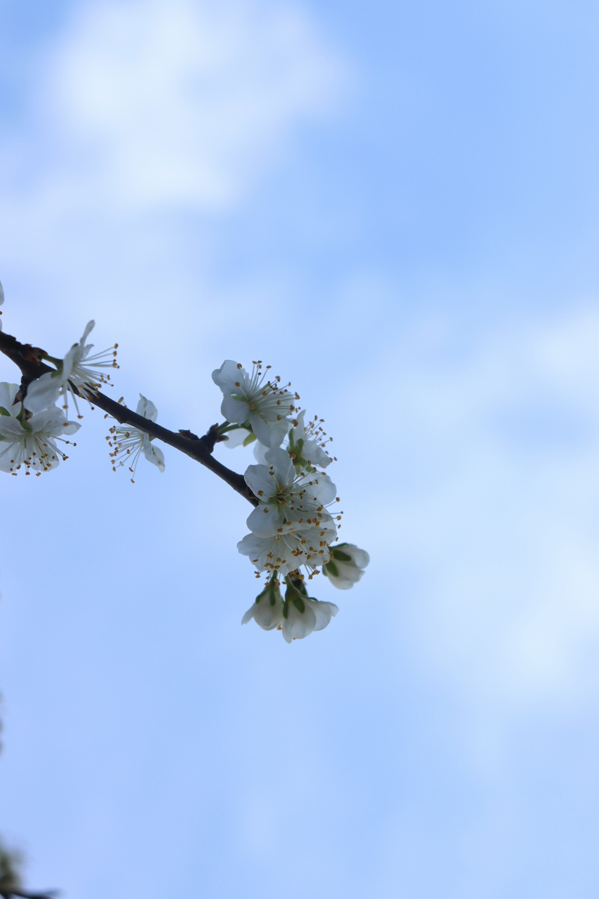 Photo by moonlightendearer