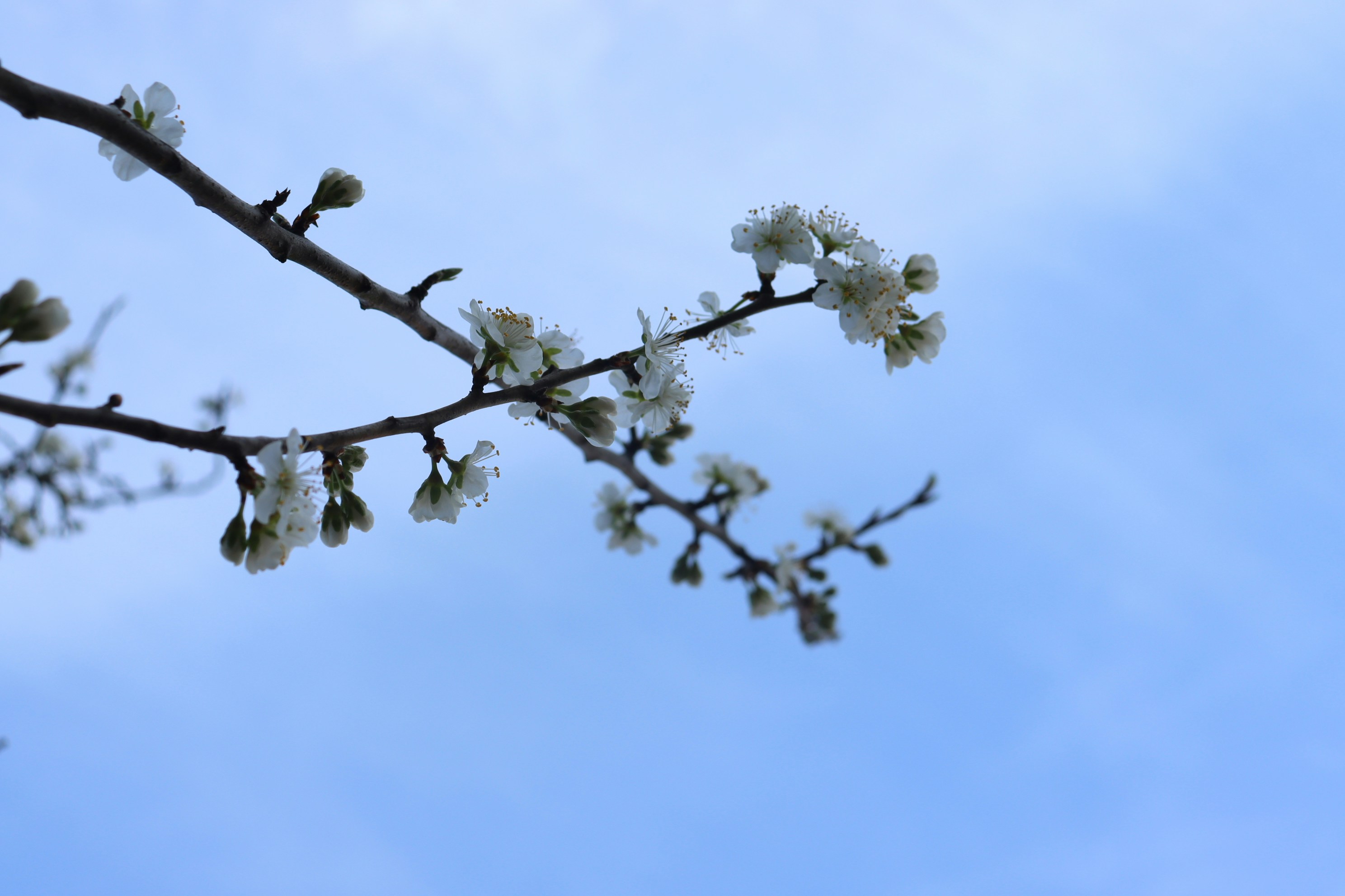 Photo by moonlightendearer