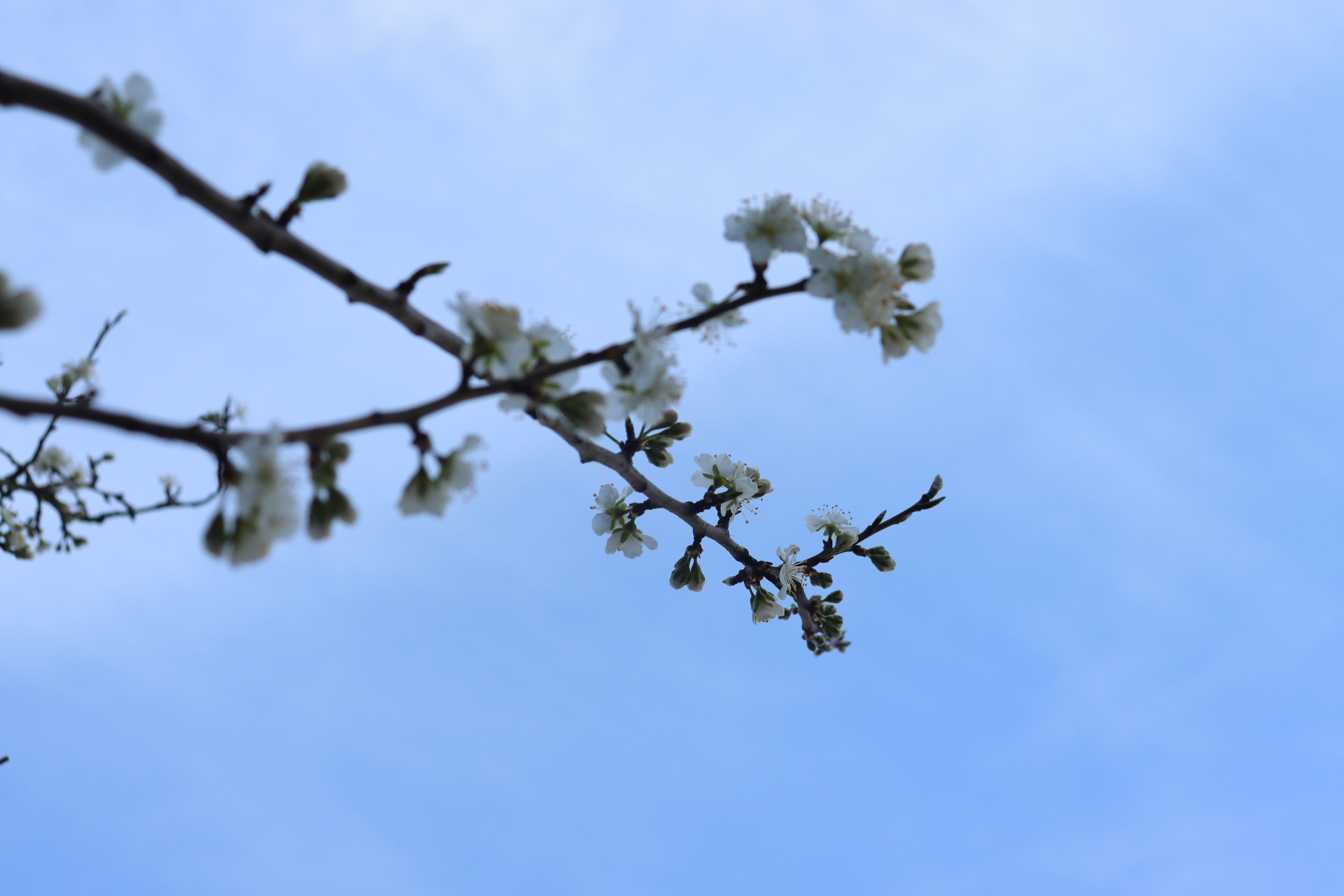 Photo by moonlightendearer