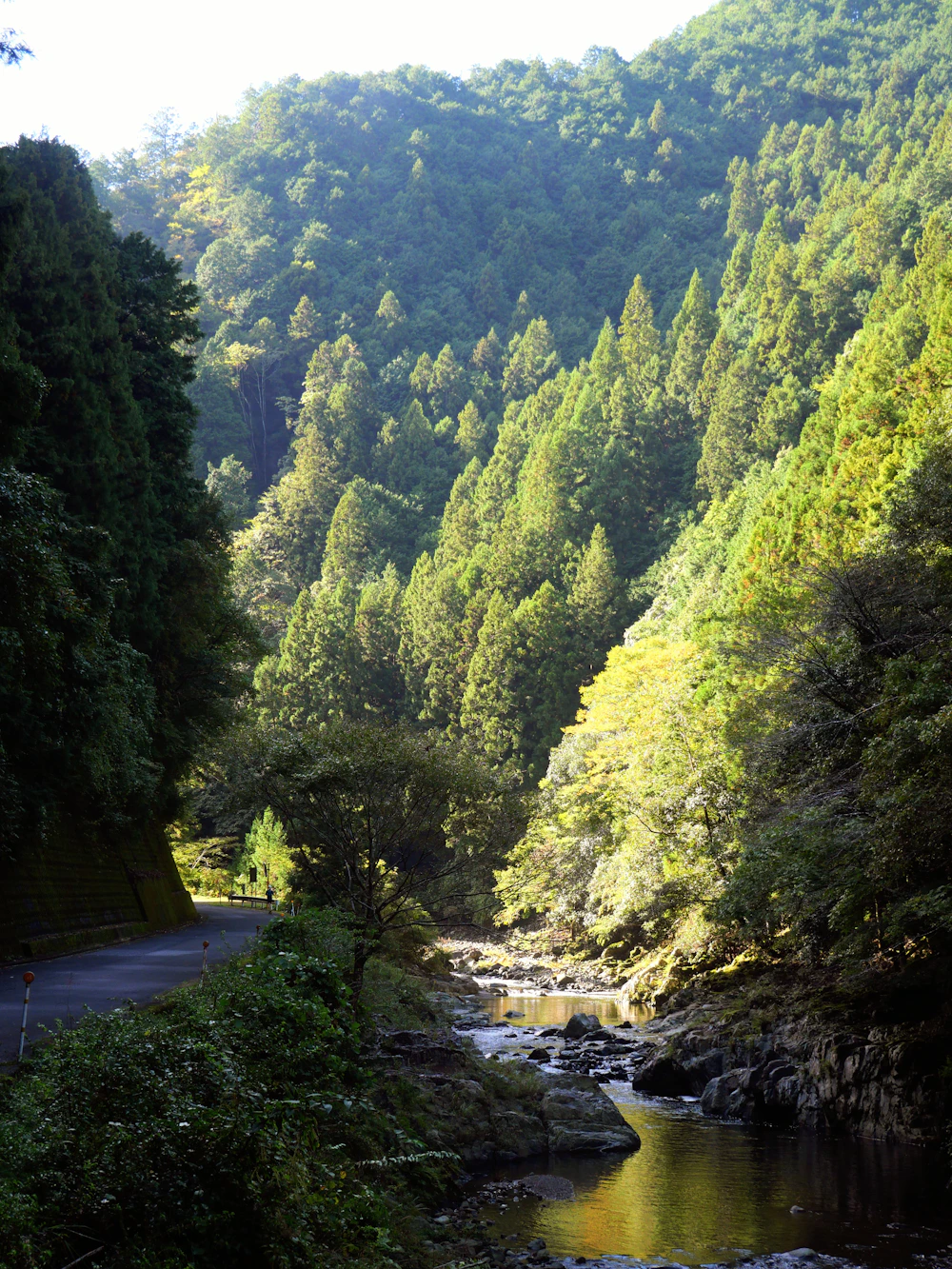 Auffahrt nach Koyasan