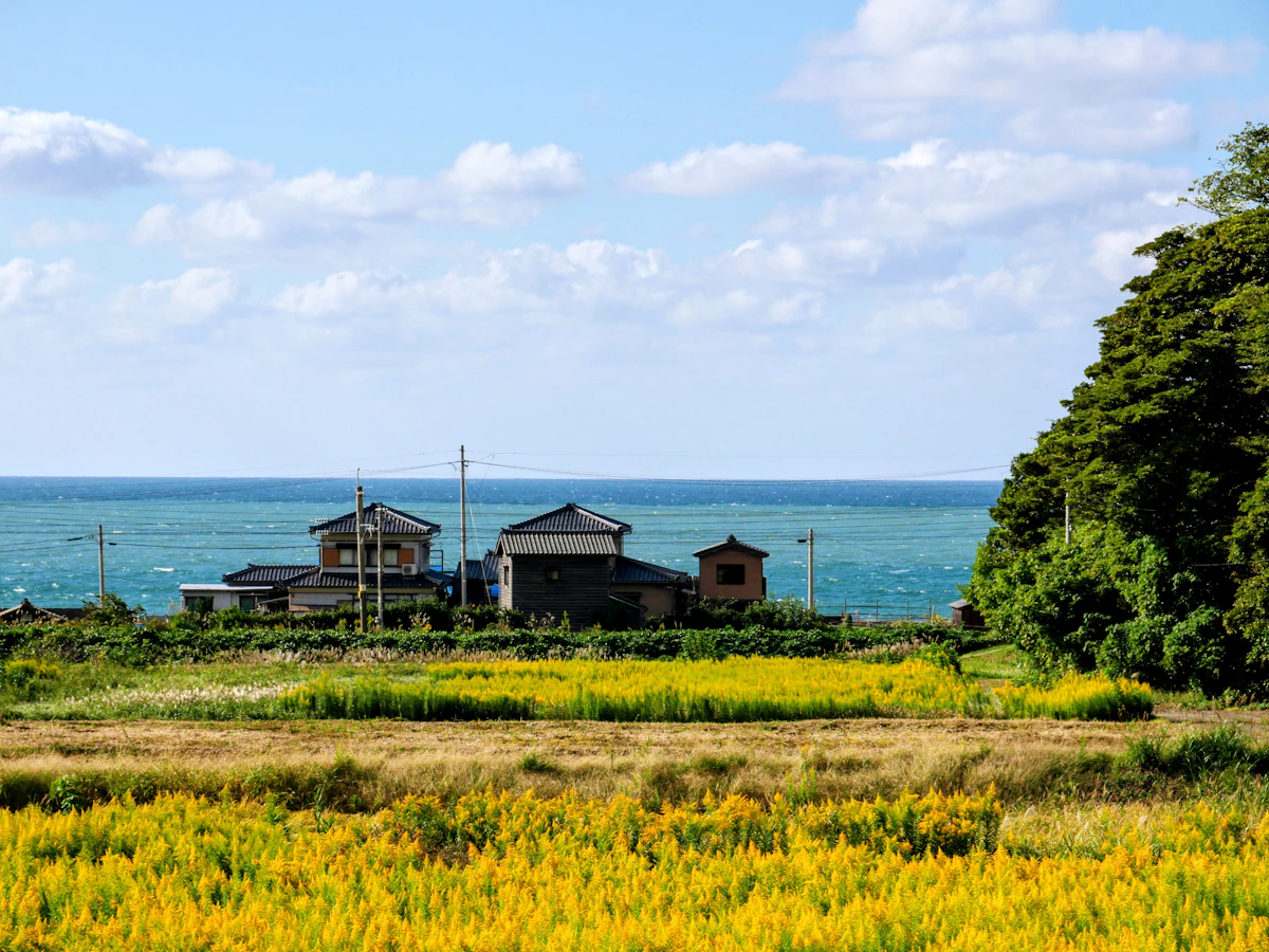 Küste vor Murakami mit Blick auf das Japanische Meer.