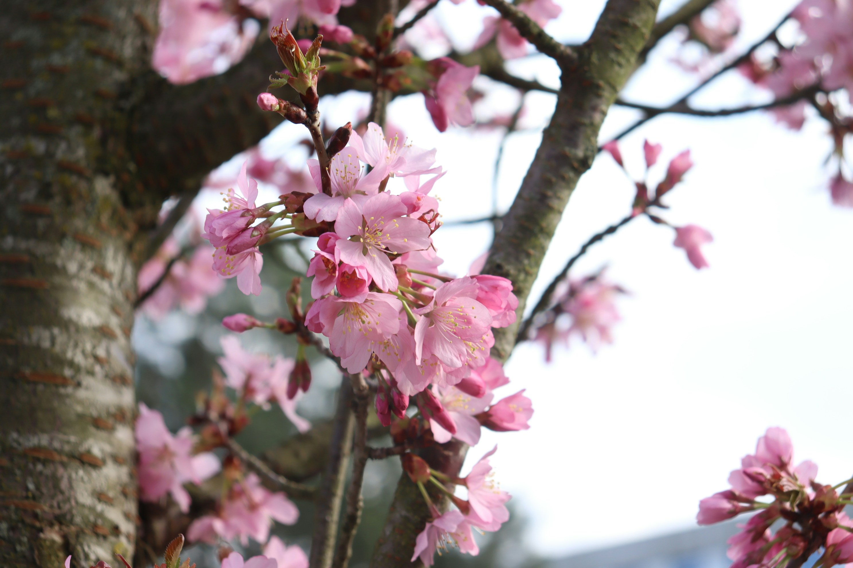 Photo by moonlightendearer