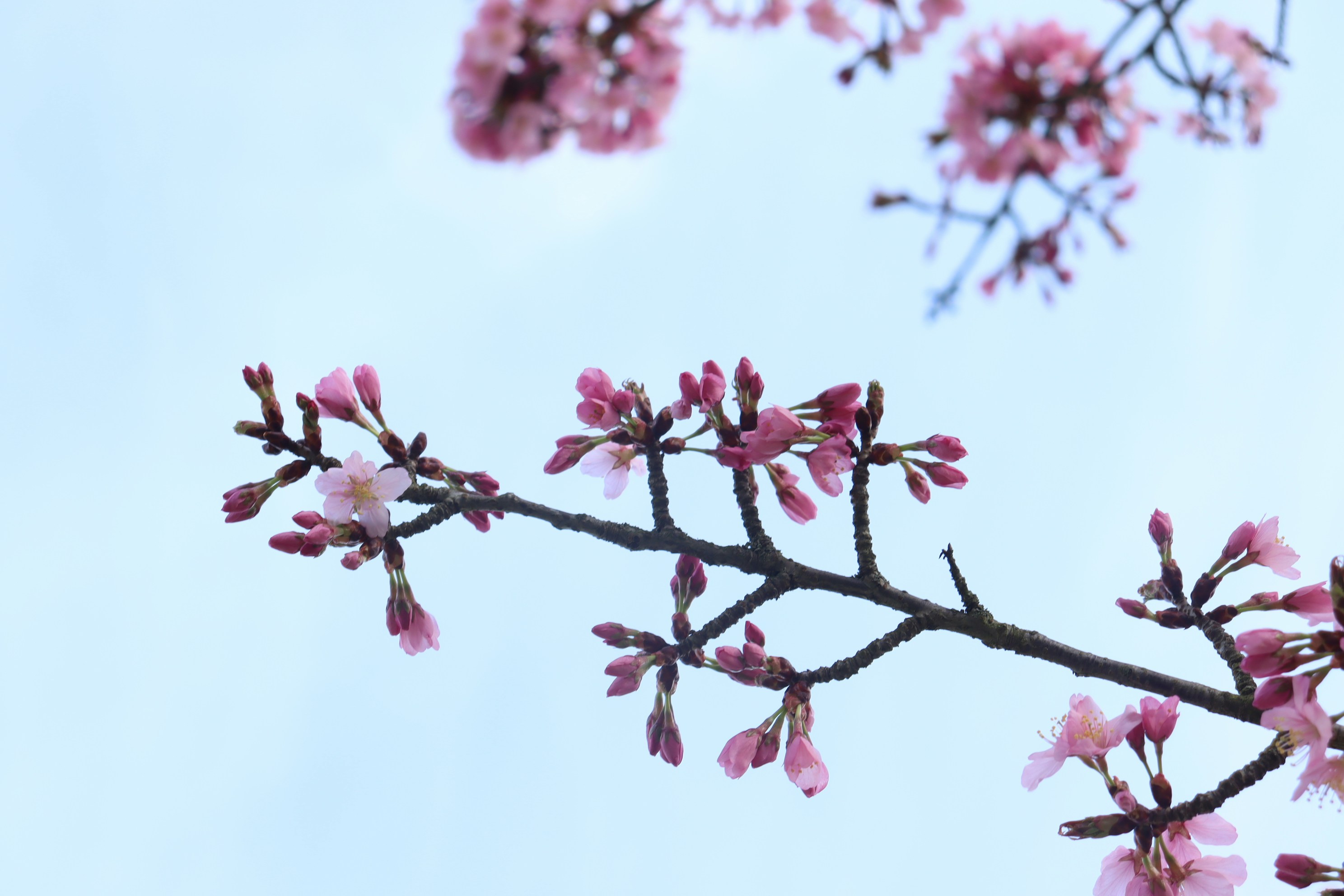 Photo by moonlightendearer