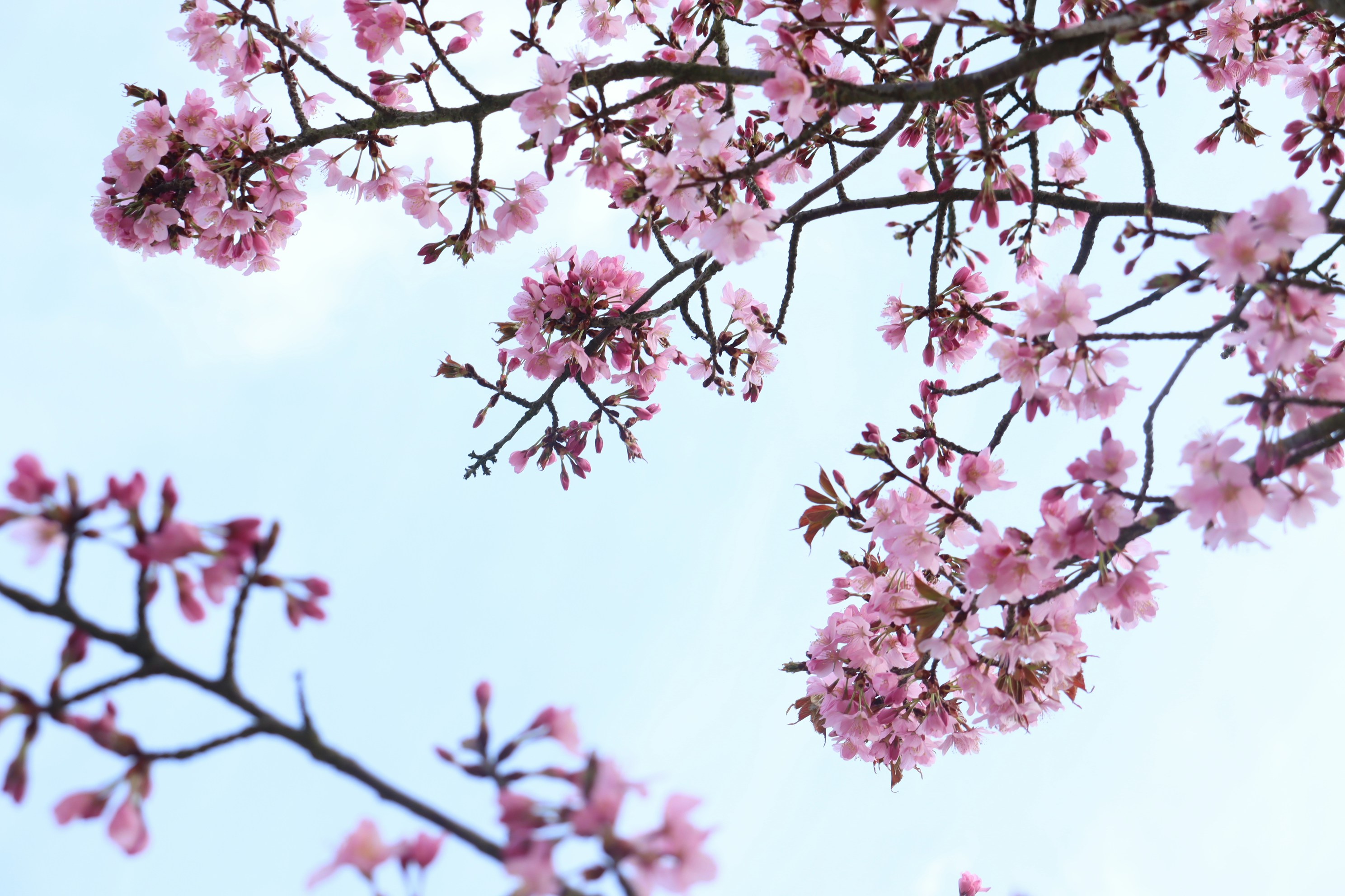 Photo by moonlightendearer