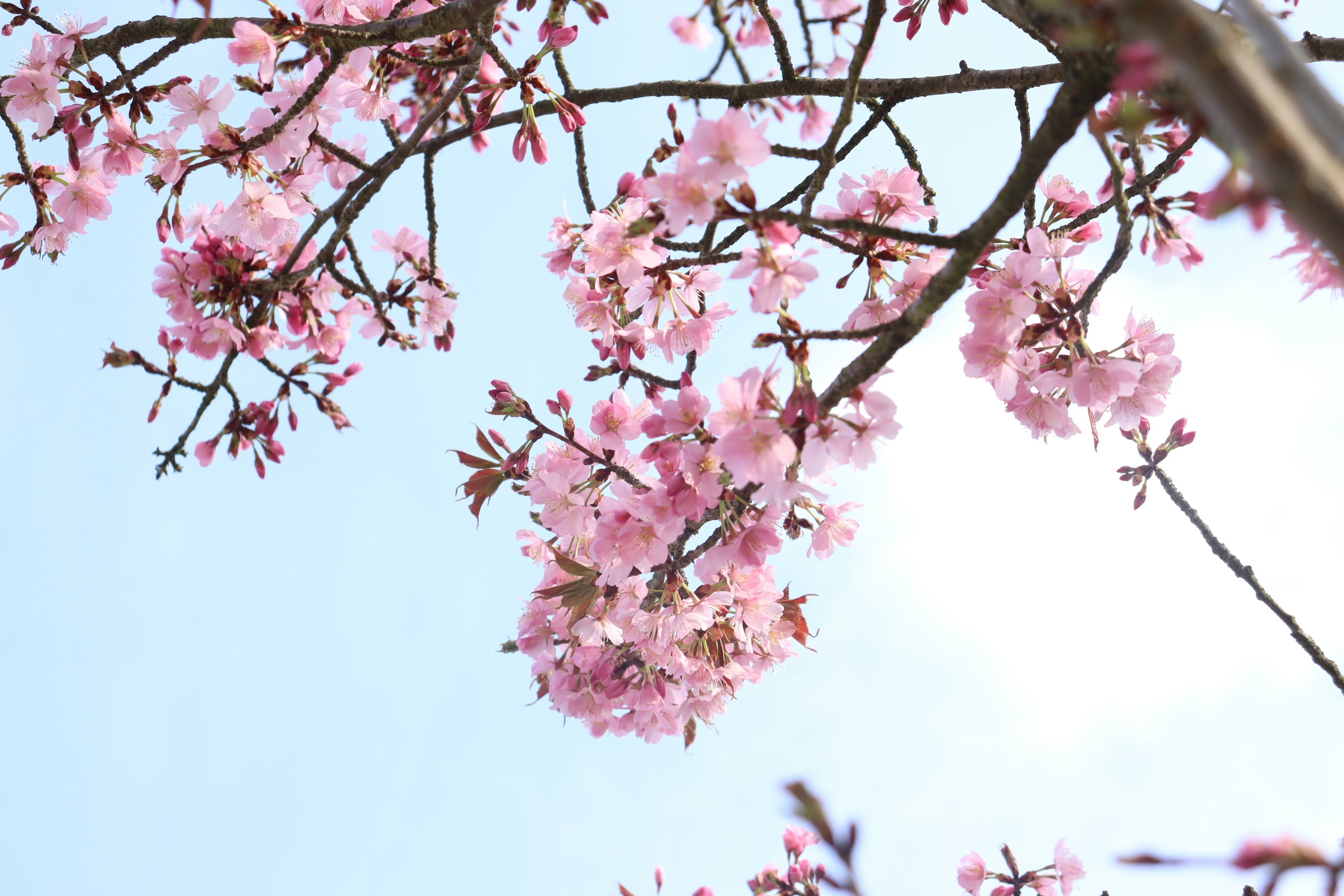 Photo by moonlightendearer