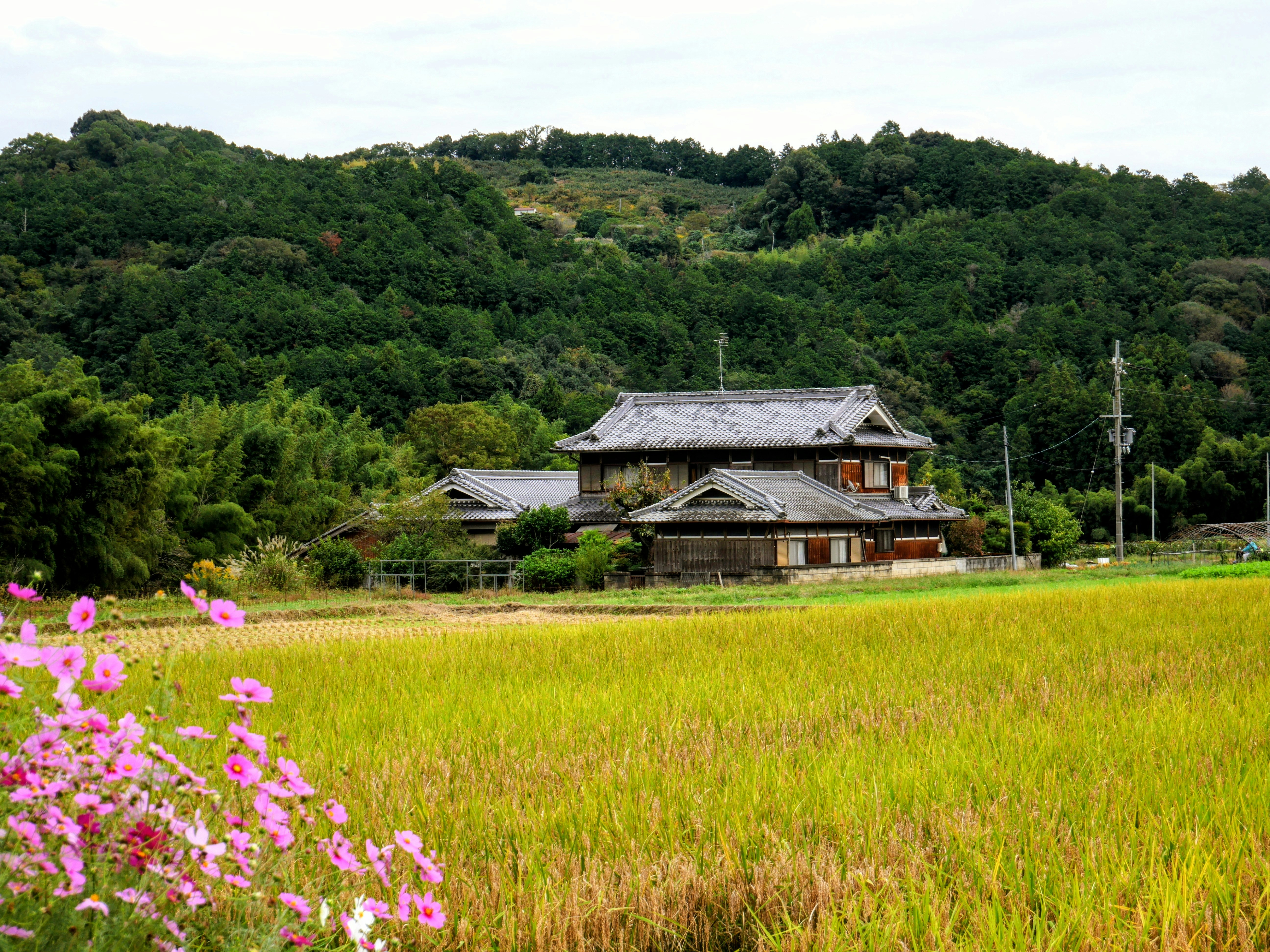 Essential Rural Japan Travel Guide: Hidden Villages rural Japan traditional ryokan accommodation tatami room futon