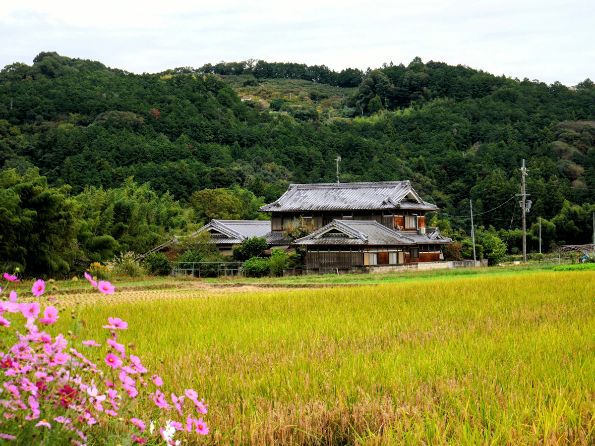 Reisfelder und traditionelle Häuser in der japanischen Landschaft.