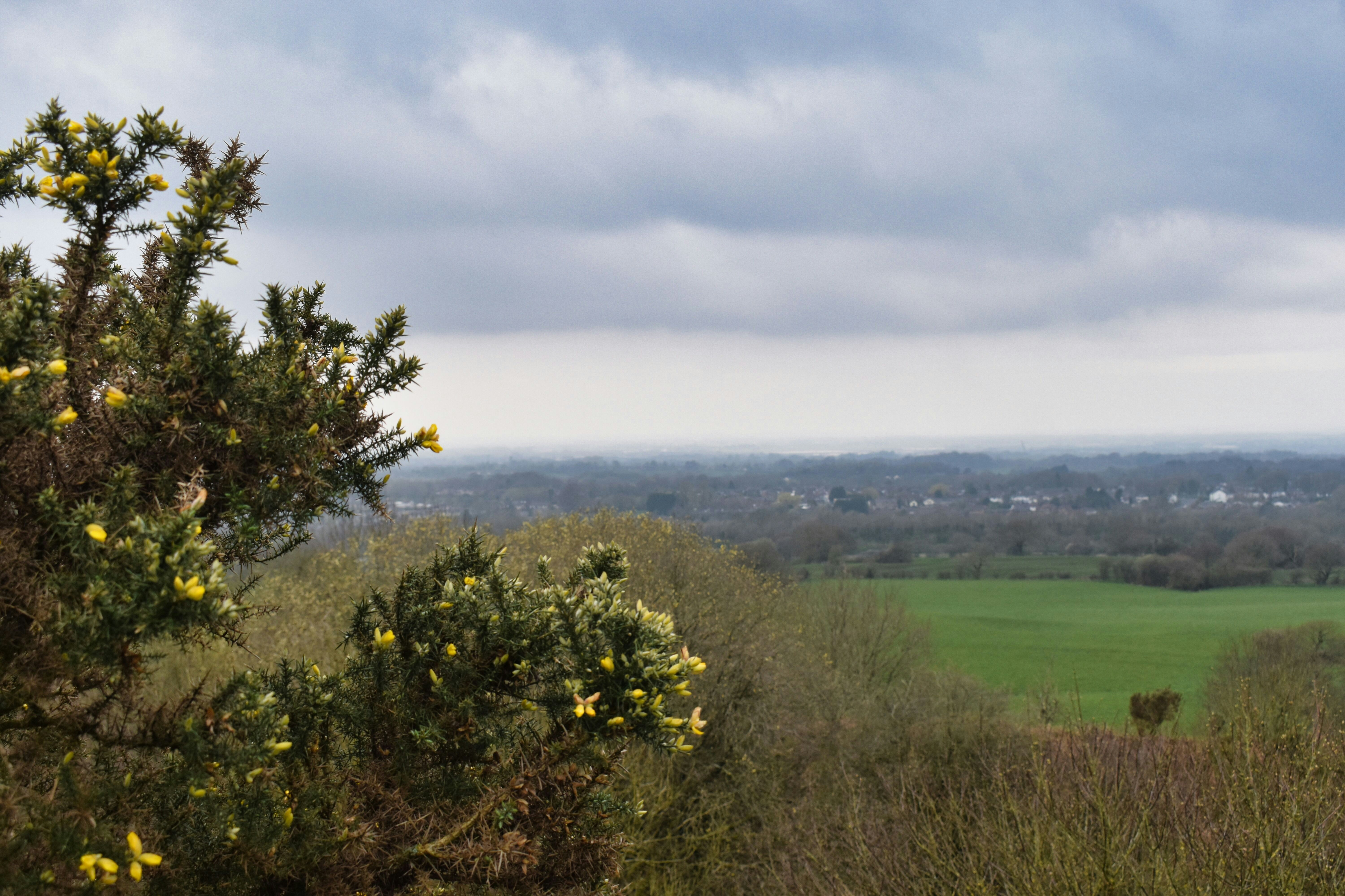 Photo by andrew_hall