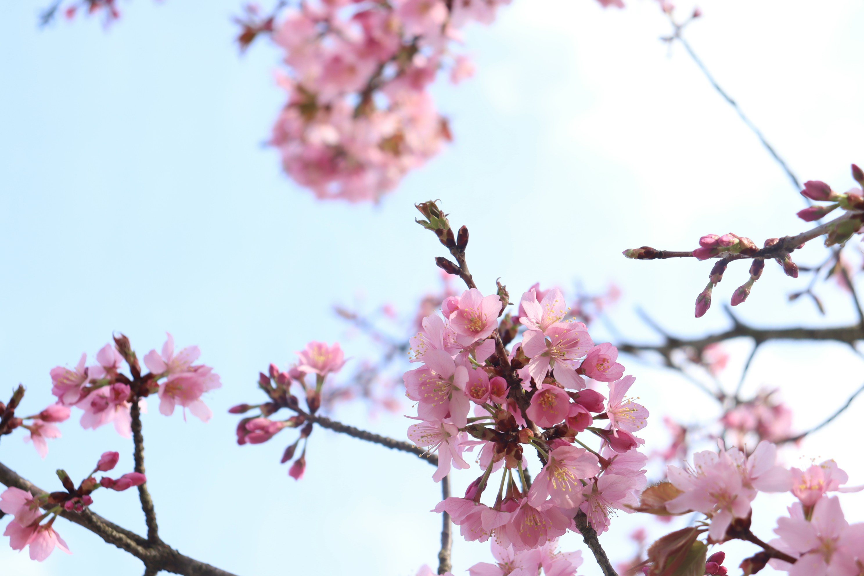 Photo by moonlightendearer