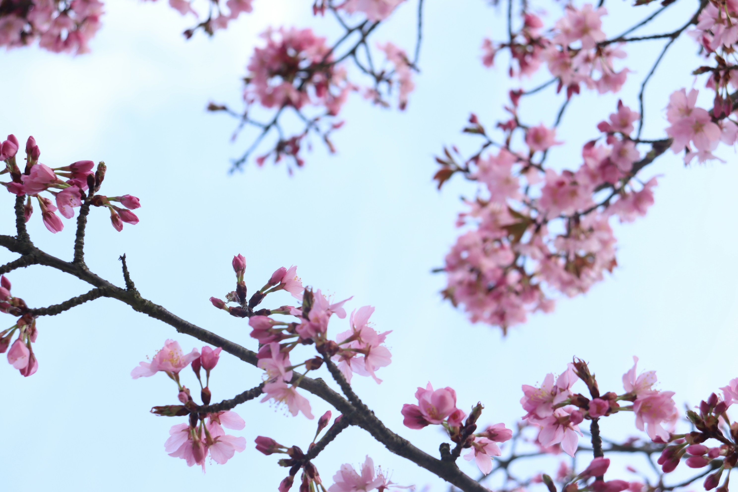 Photo by moonlightendearer