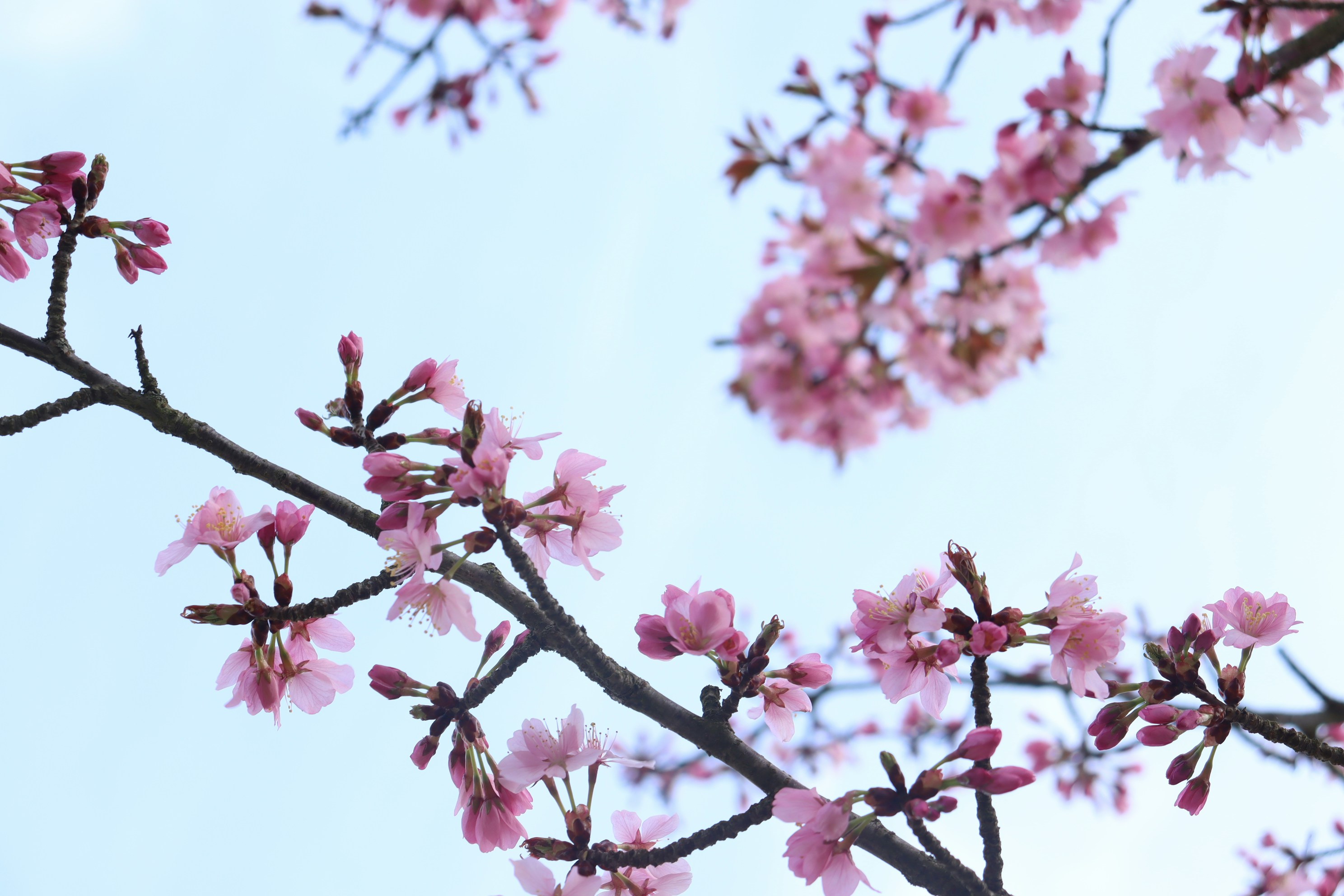 Photo by moonlightendearer