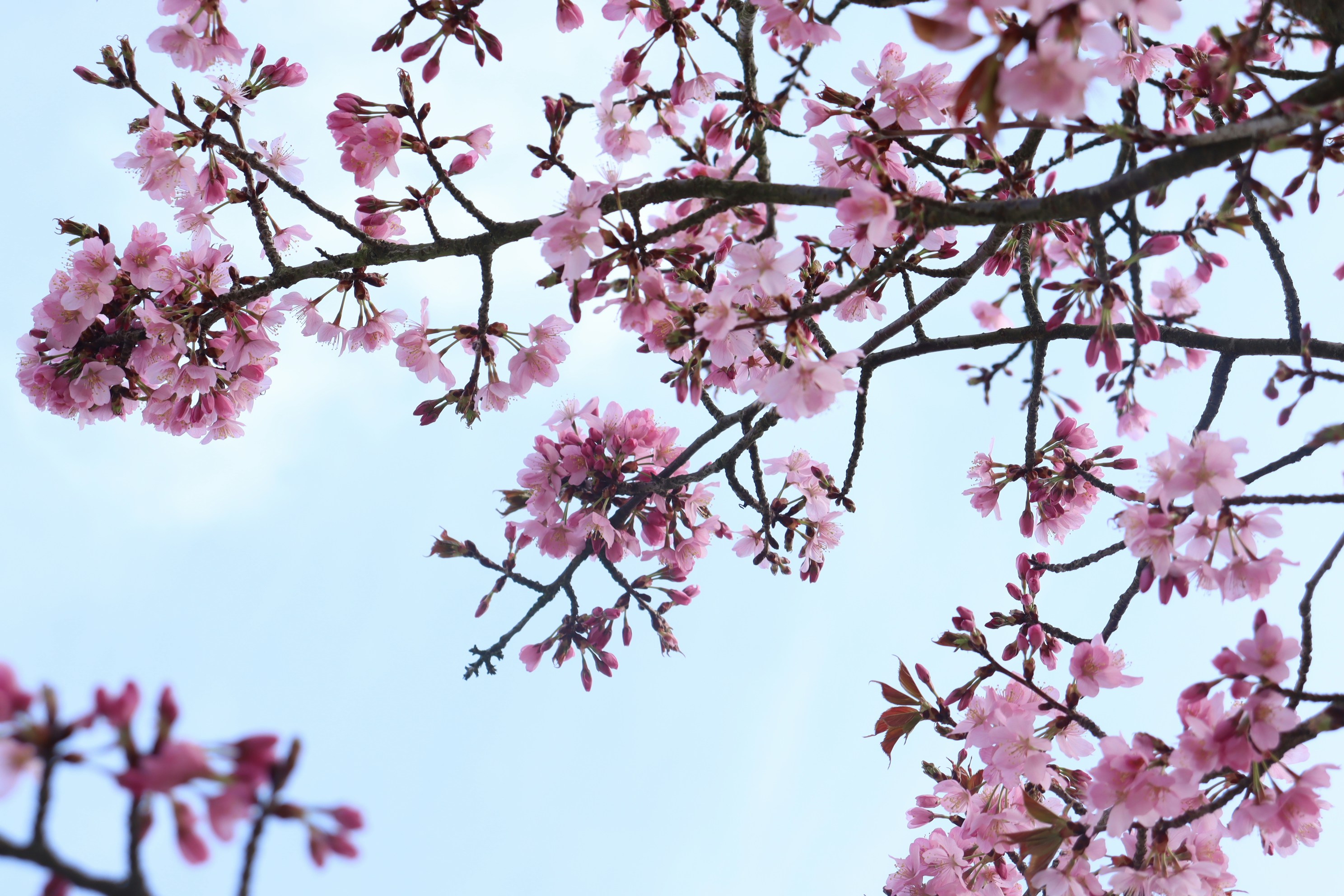 Photo by moonlightendearer