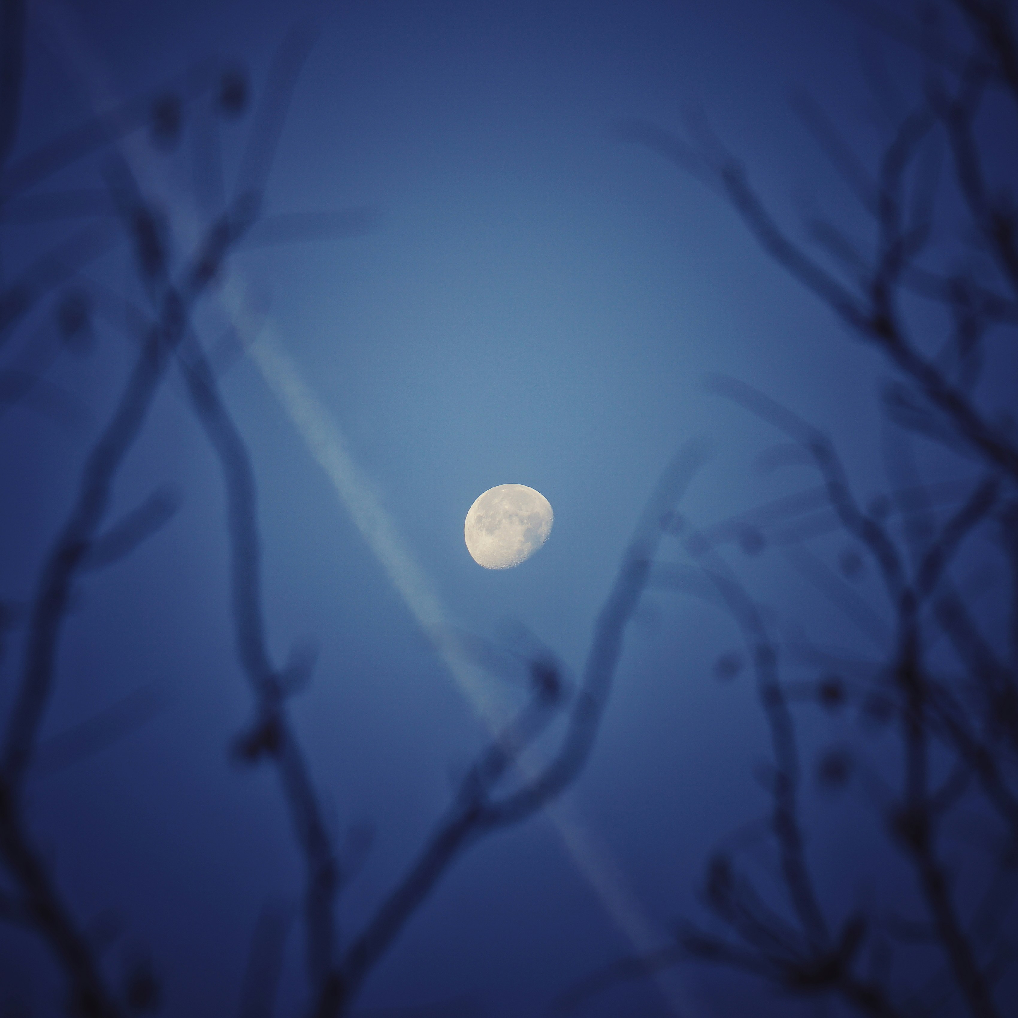 Photo by kubbo