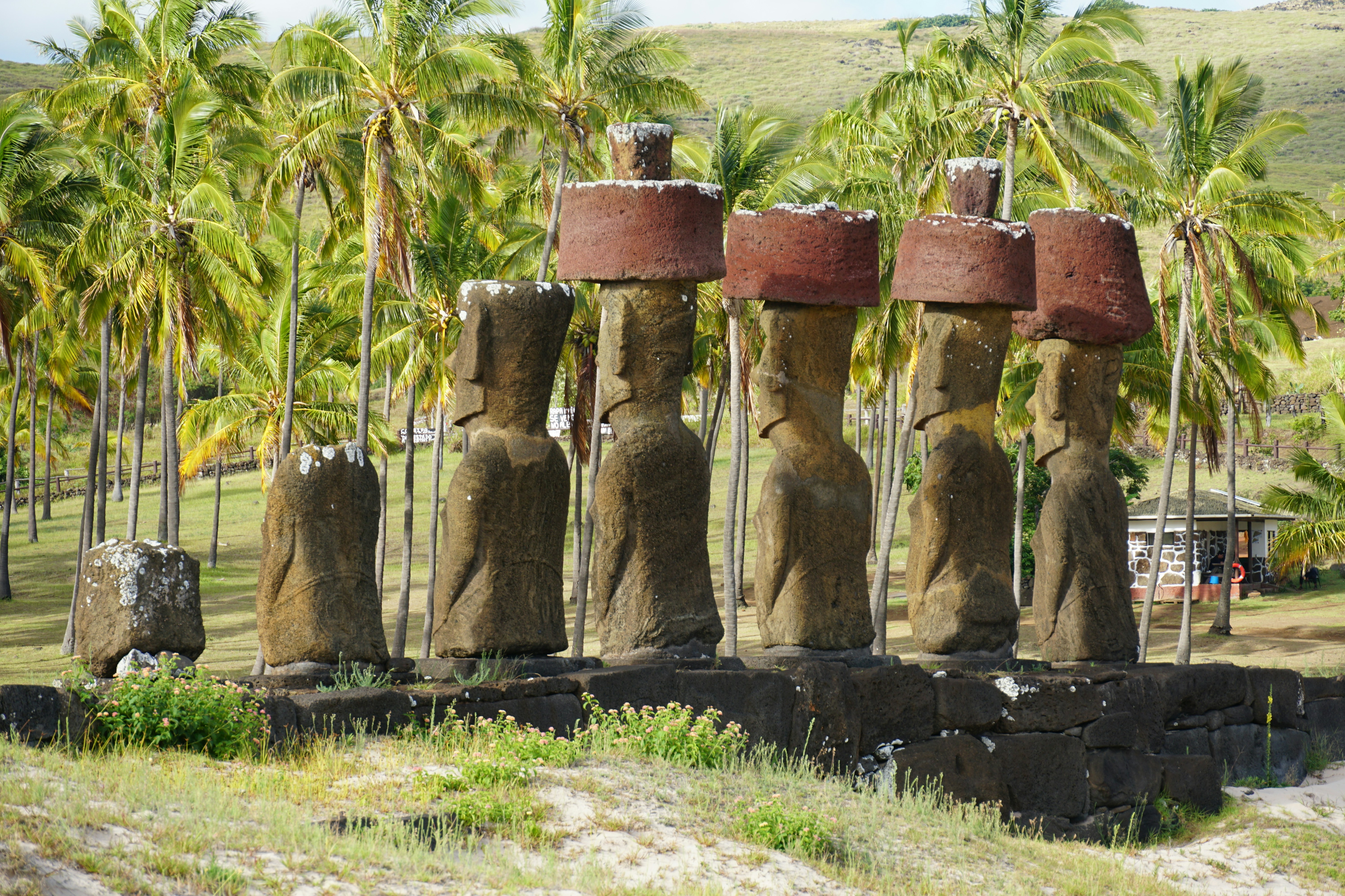 Moai statues with red topknots on easter island