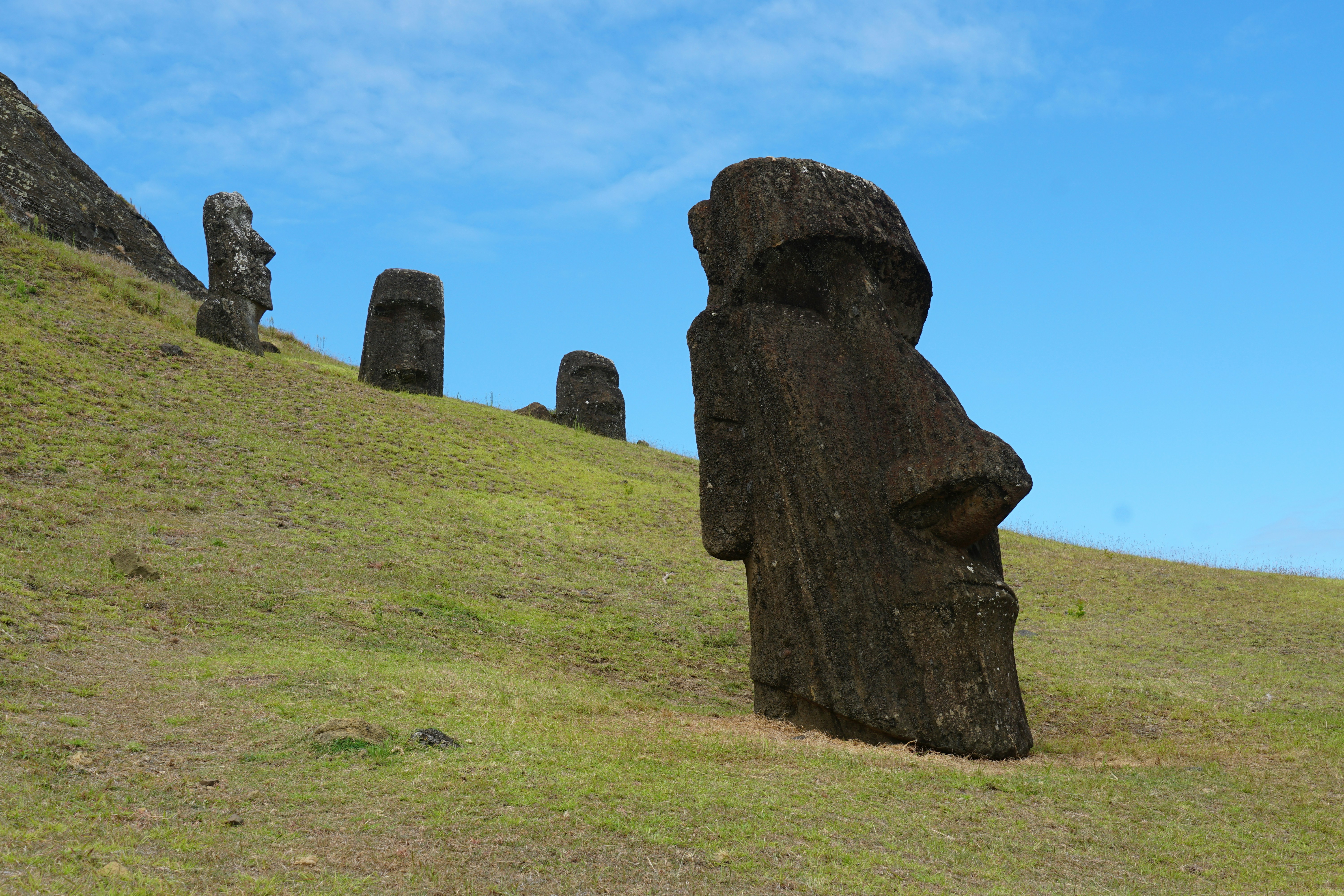 Moai statues on a grassy hillside under a blue sky