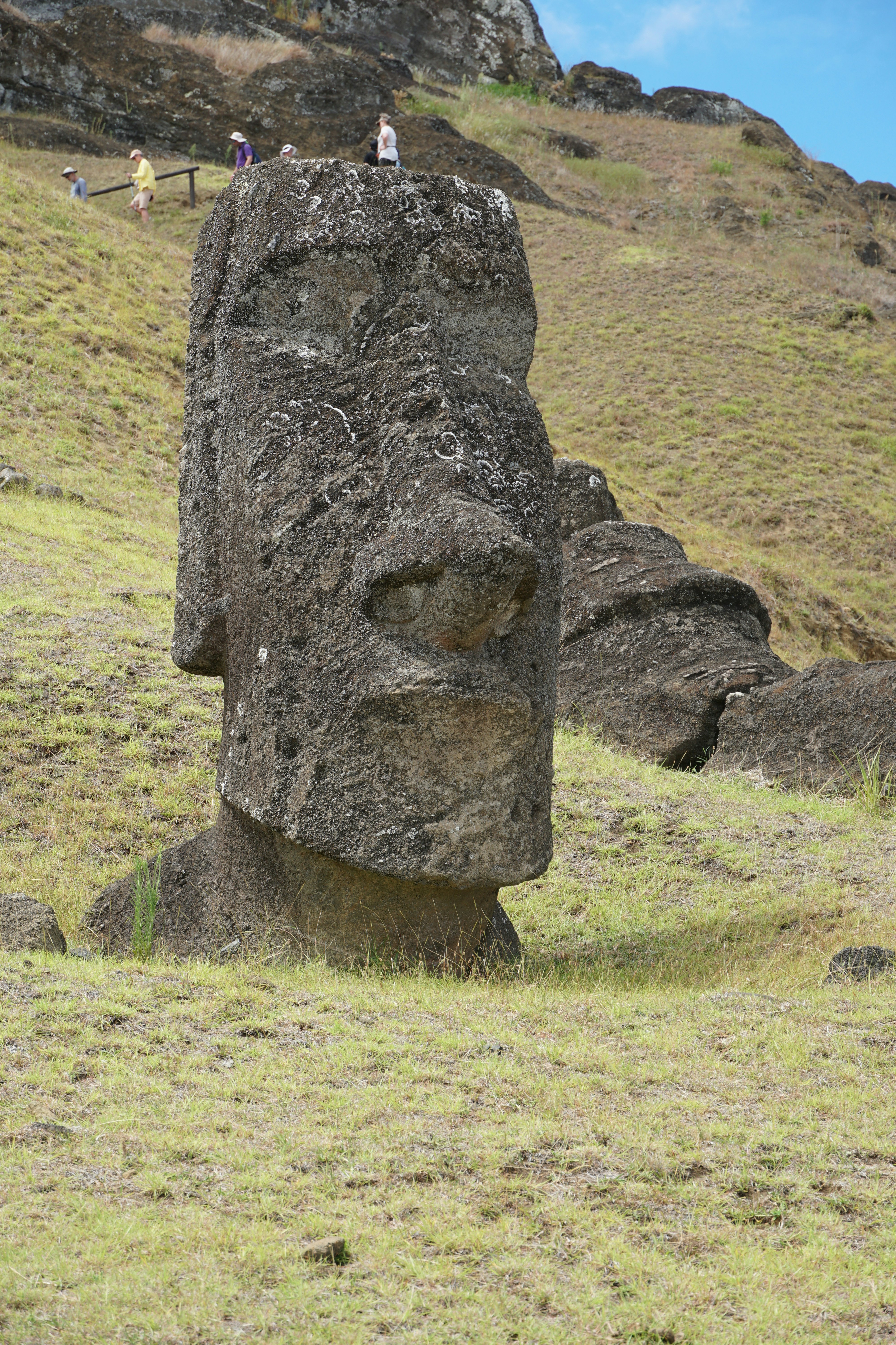 Moai statue on easter island grassy hillside