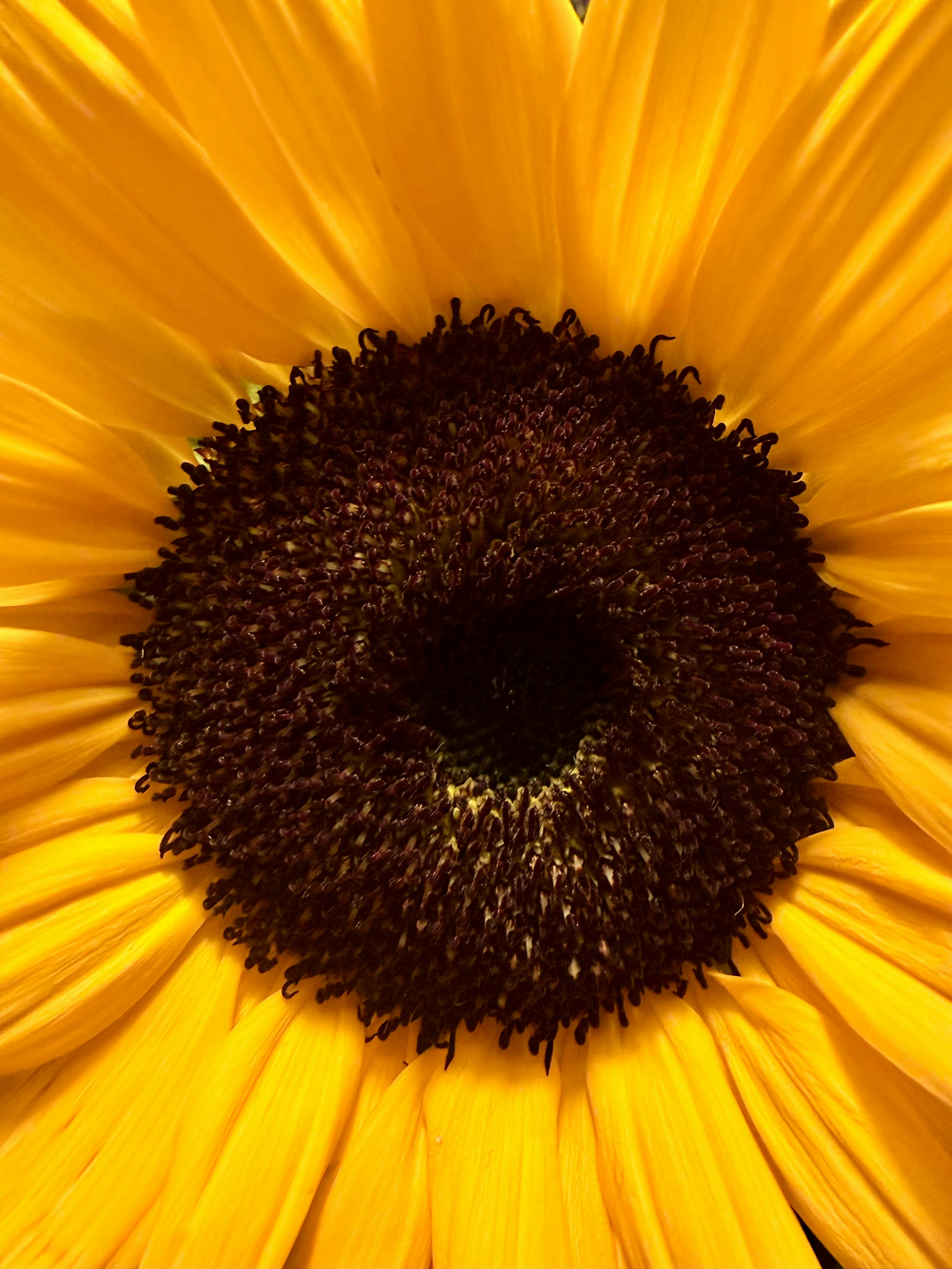 Photo by raymatthewx