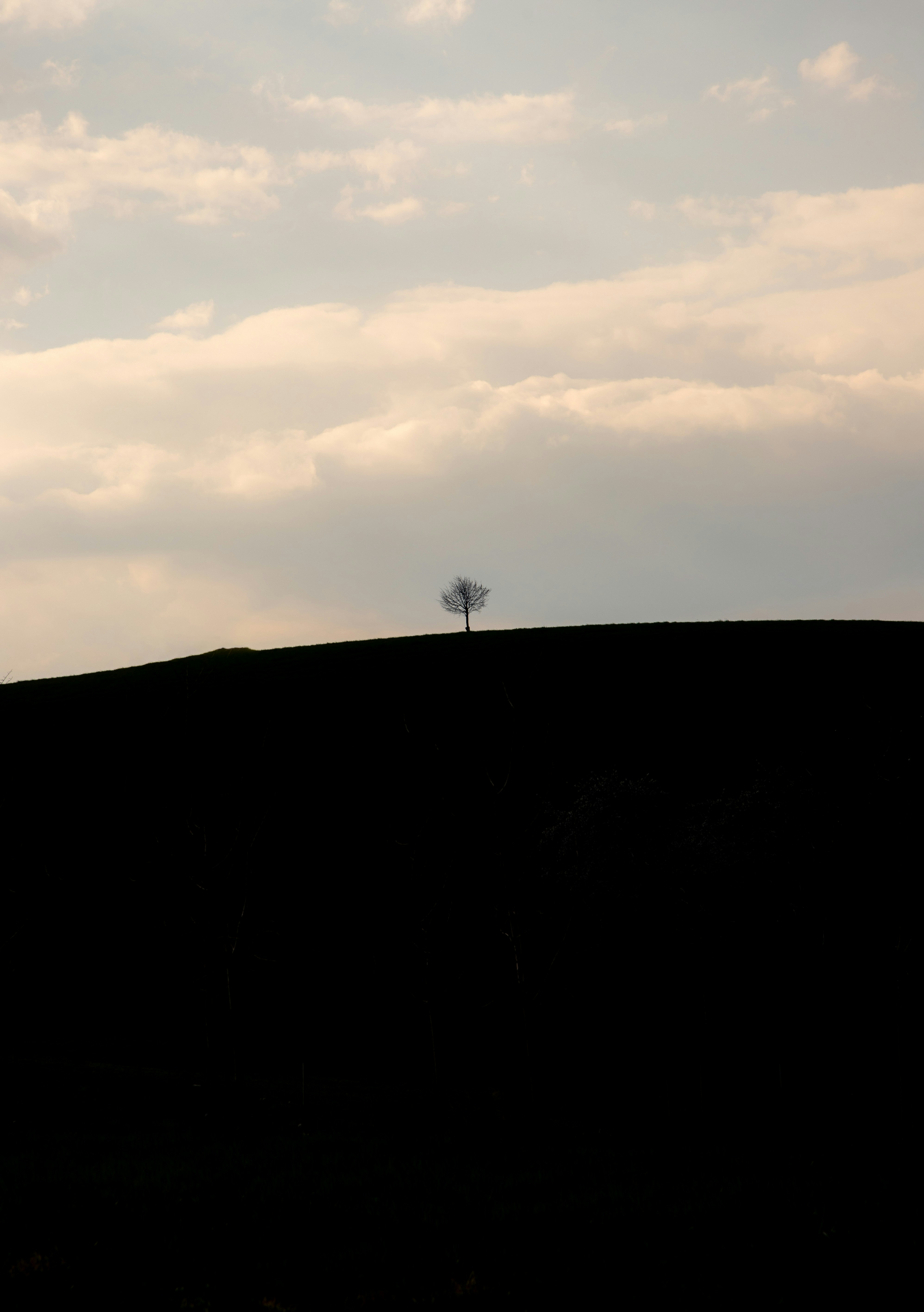 Photo by hdbernd