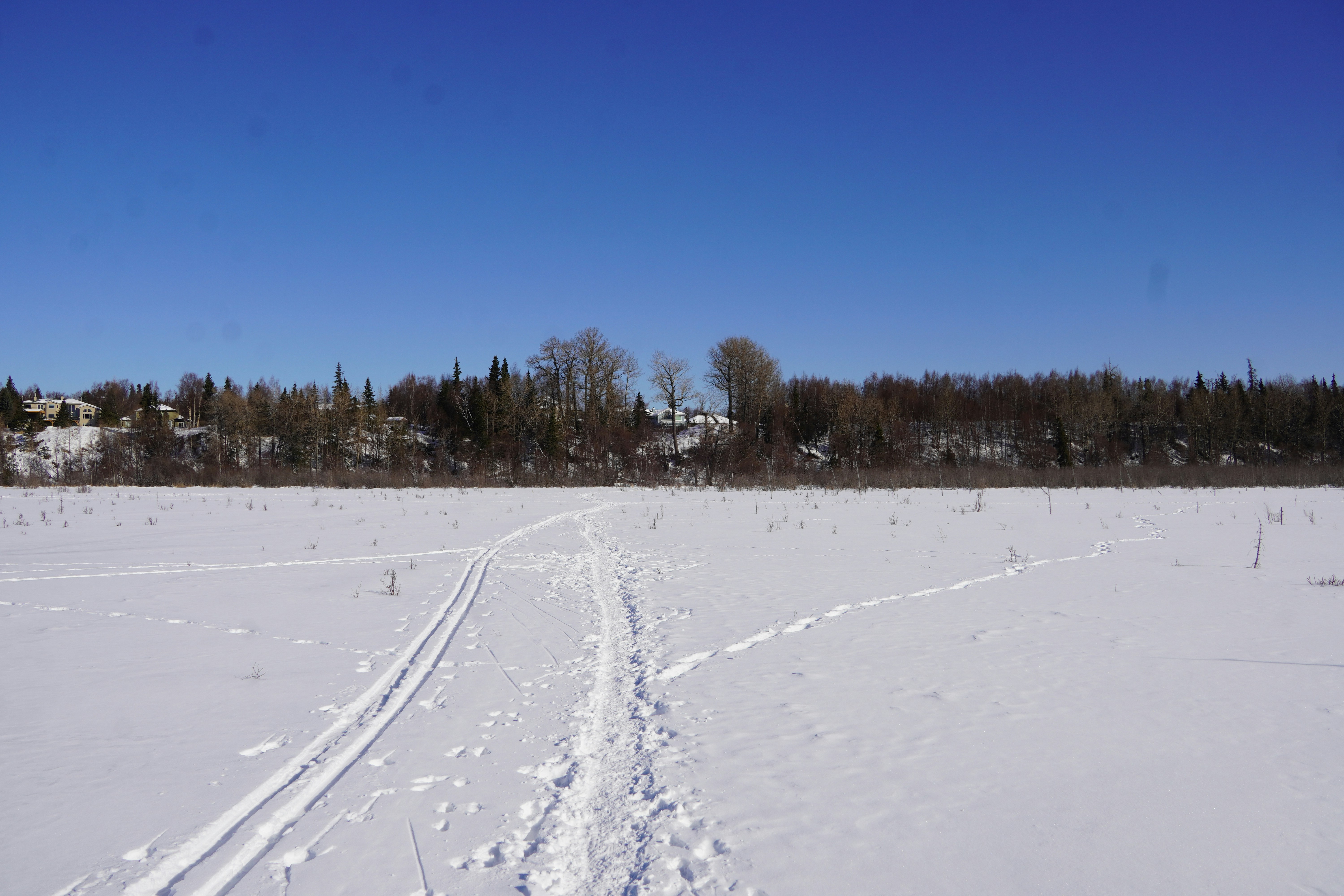 Photo by chapelbeach