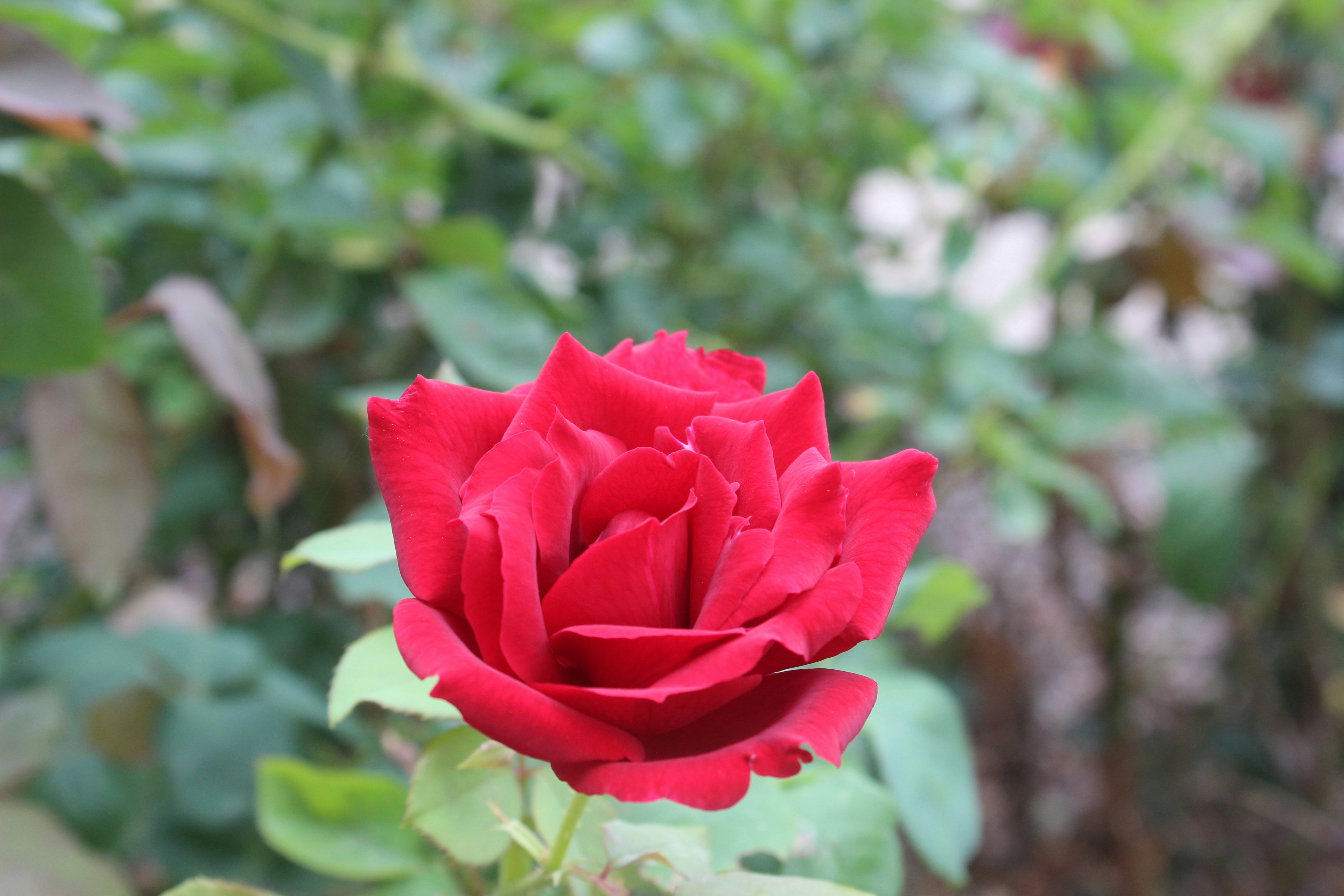 Photo by emilyedwards