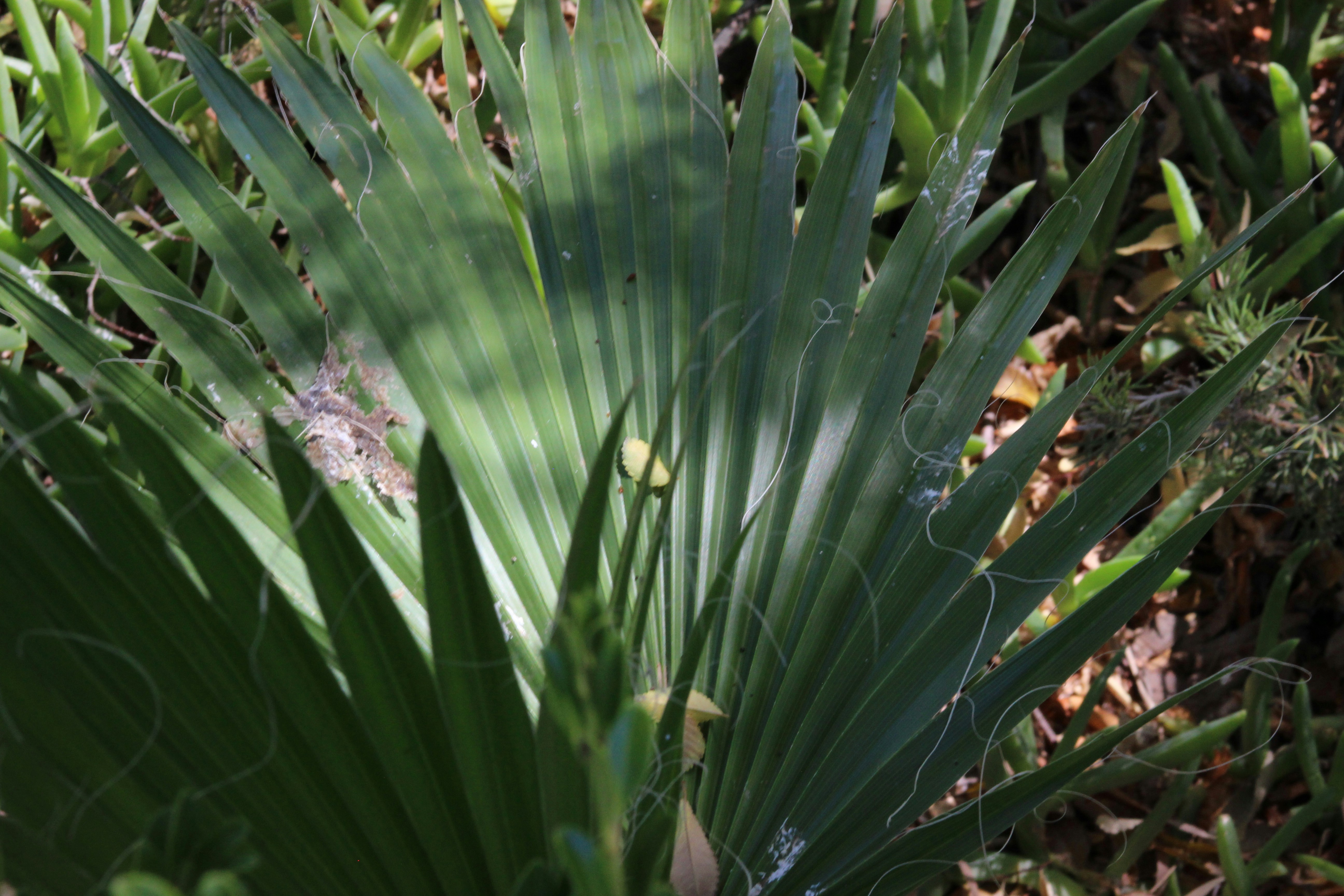 Photo by emilyedwards