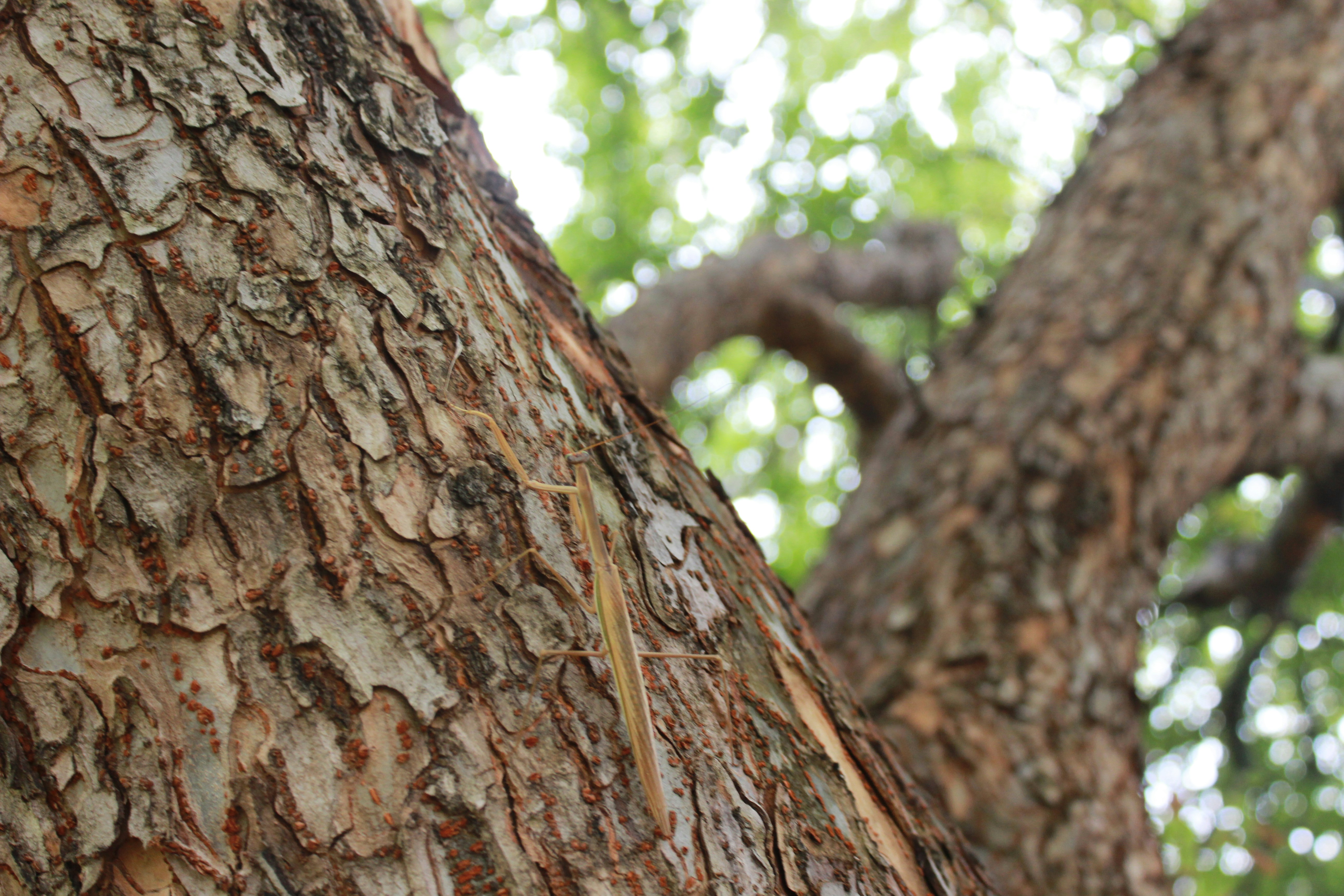 Photo by emilyedwards