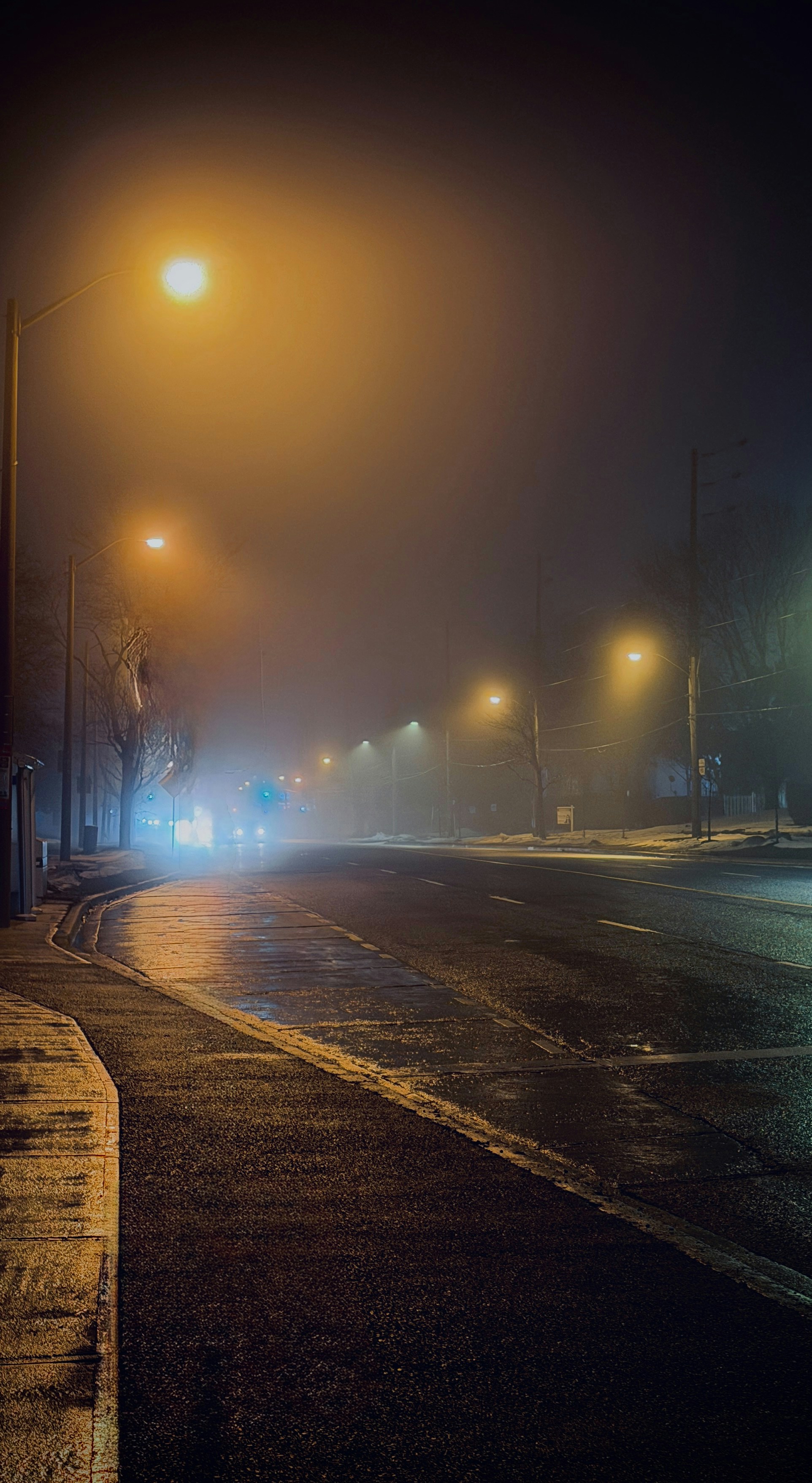 Photo by farseen_mhmd