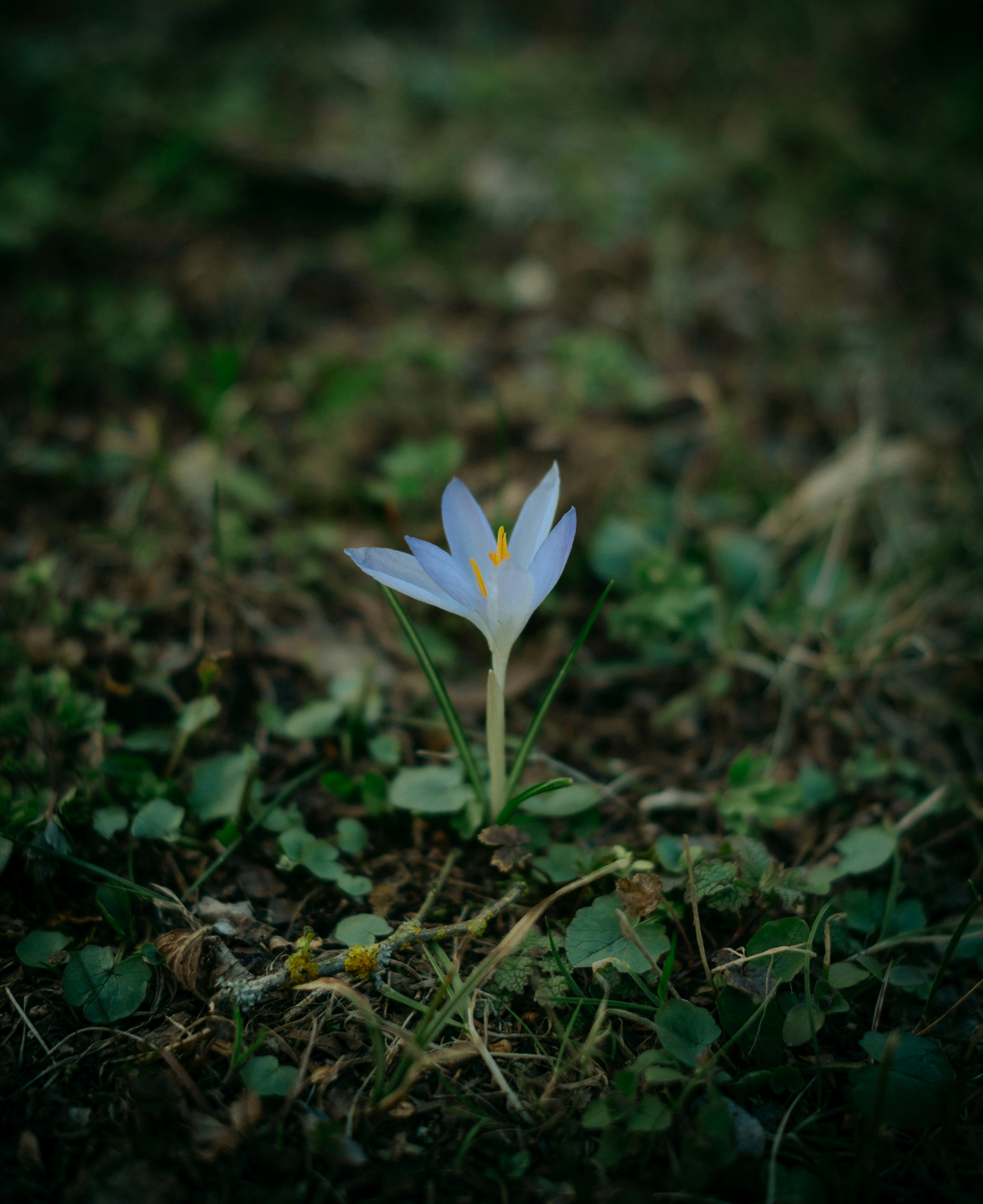 Photo by lacyec