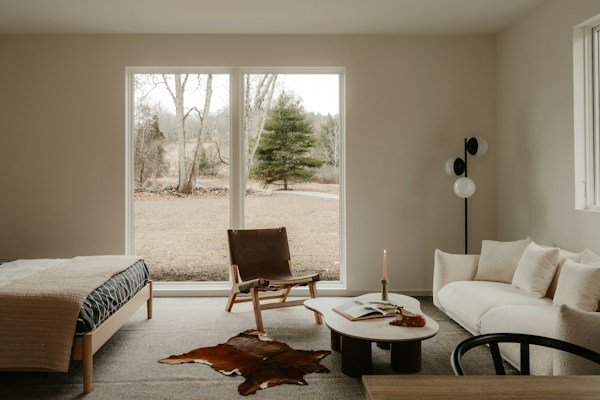 Backyard Renovation