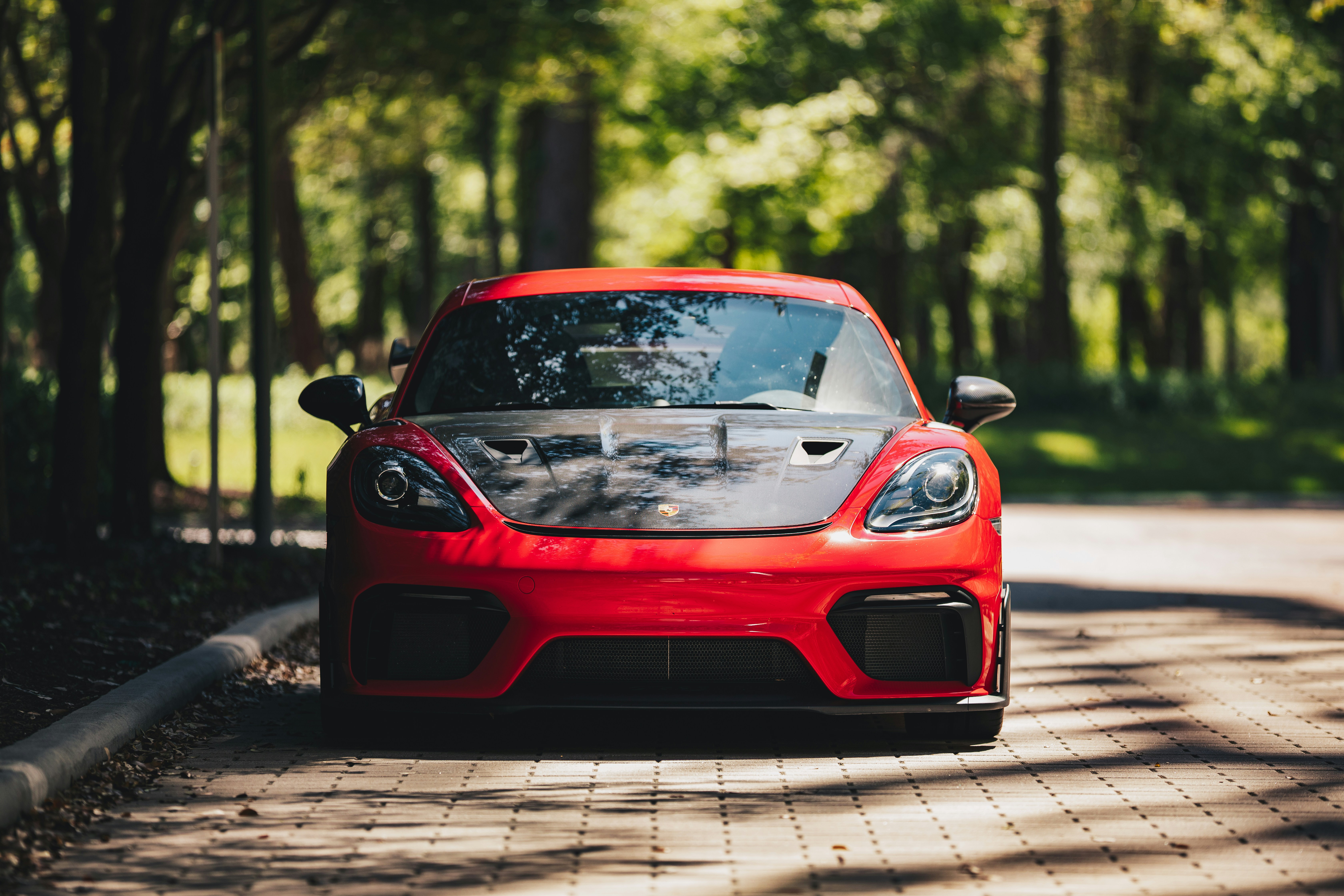 Roter Sportwagen auf einem von Bäumen gesäumten Weg geparkt.