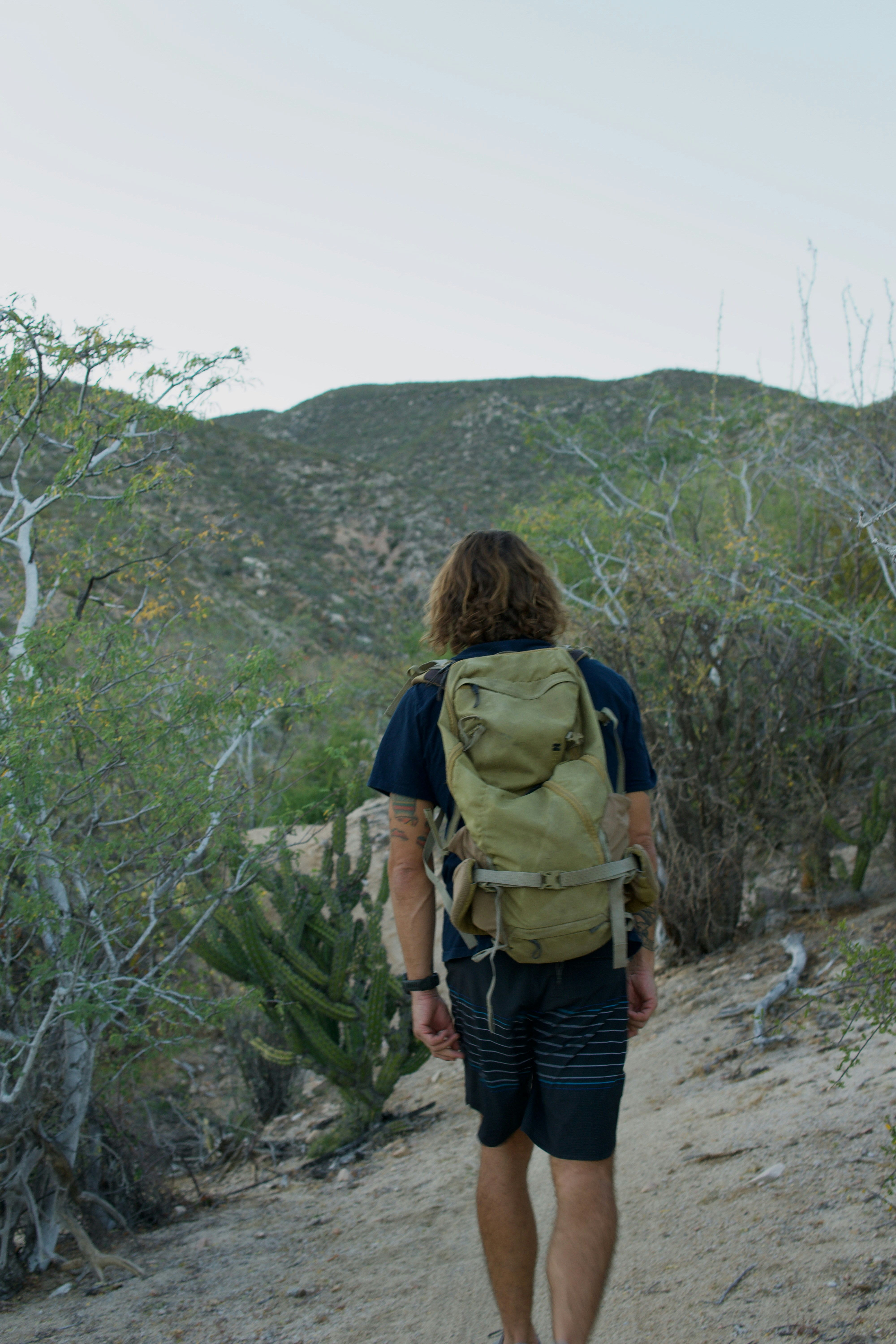 Food and Dining: Navigating Iceland's High Culinary Costs