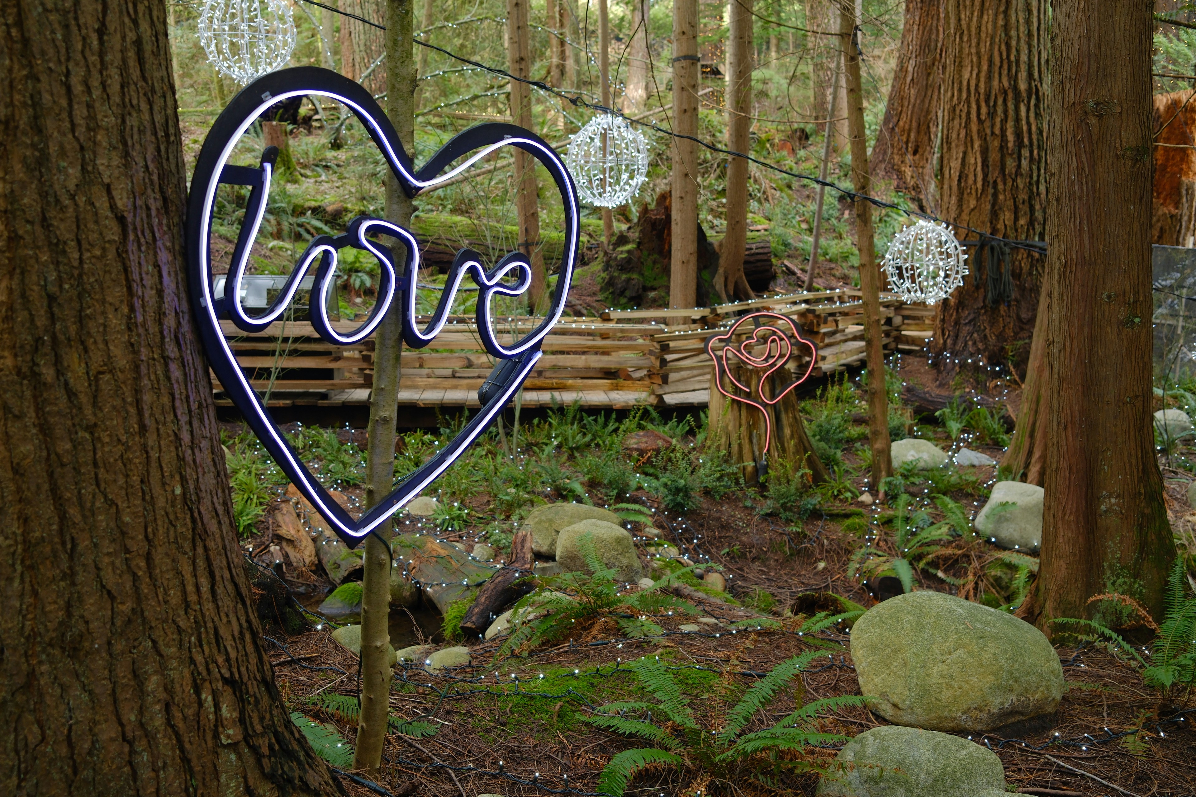 Heart-shaped neon "love" sign in a forest setting.