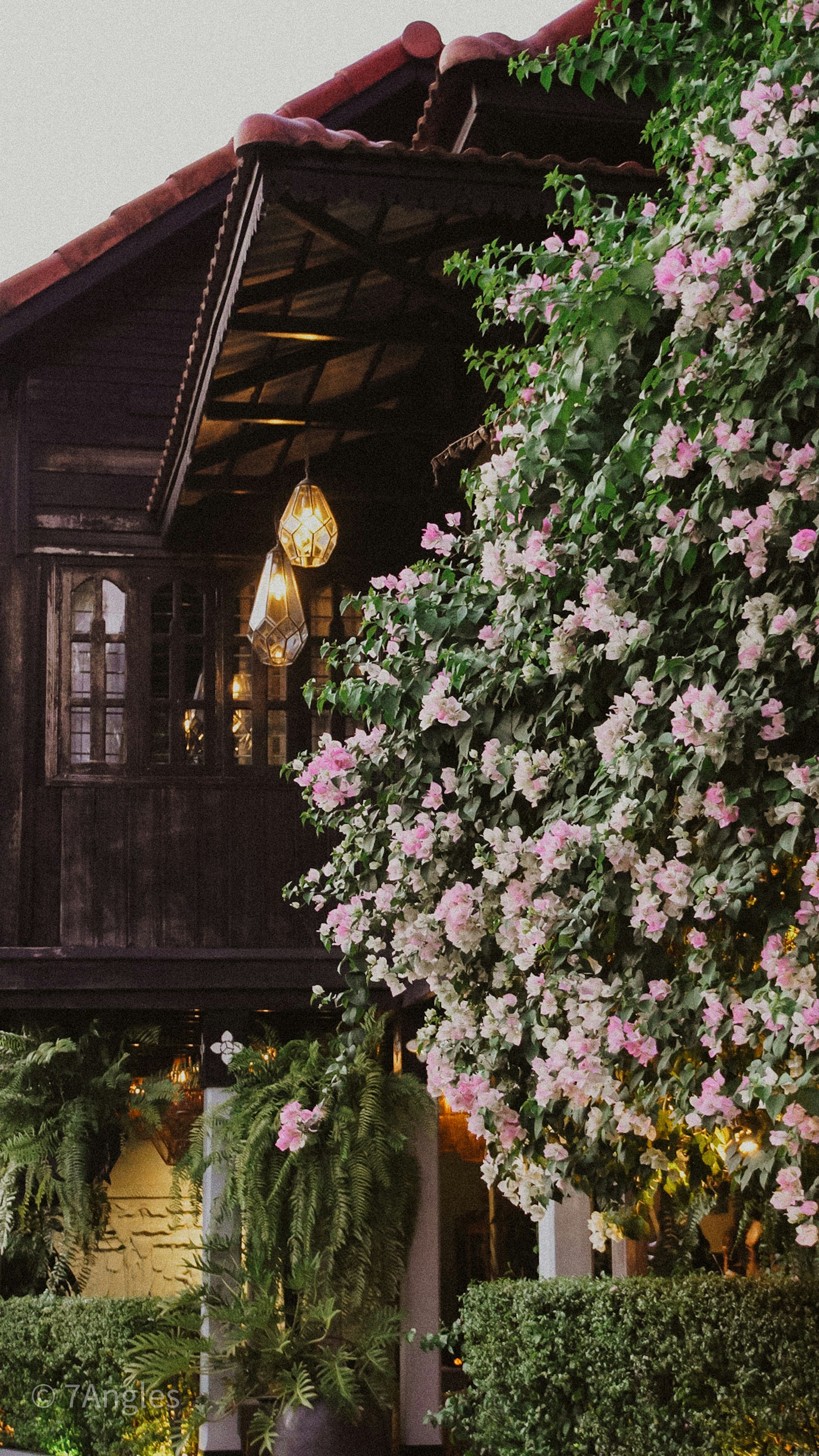 Photo by 7angles_photography