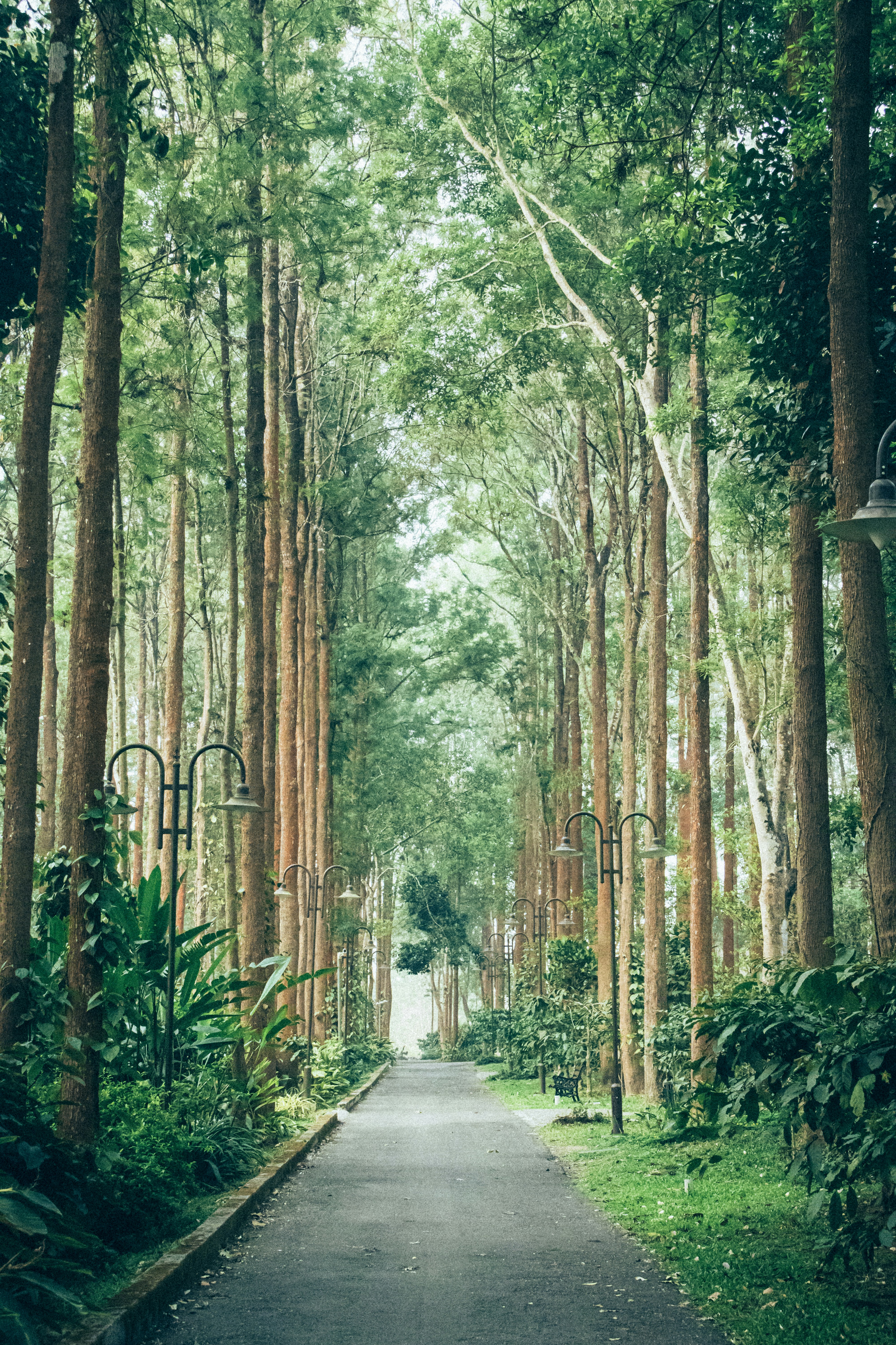 Photo by sameer_srivastava