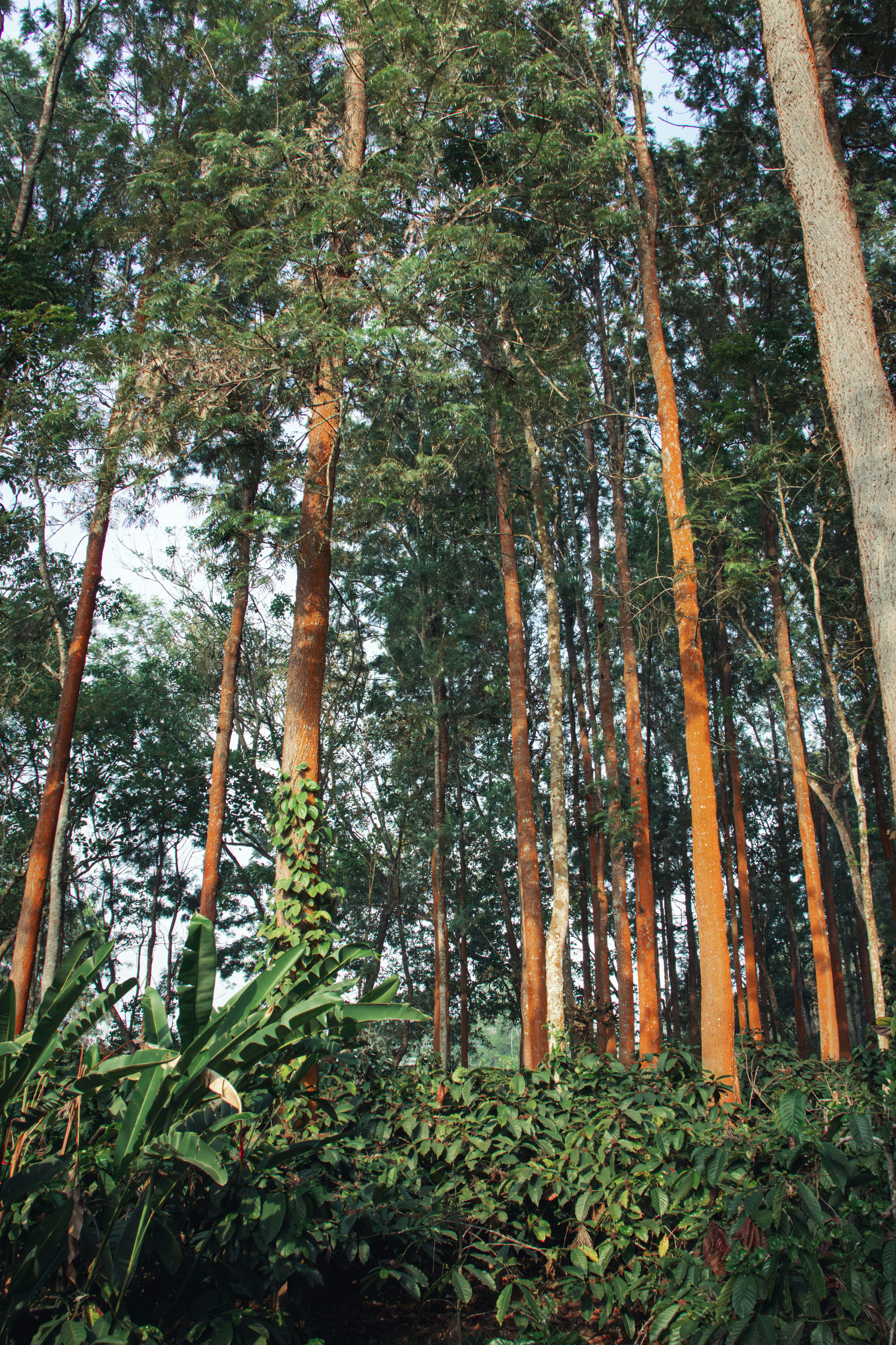 Photo by sameer_srivastava