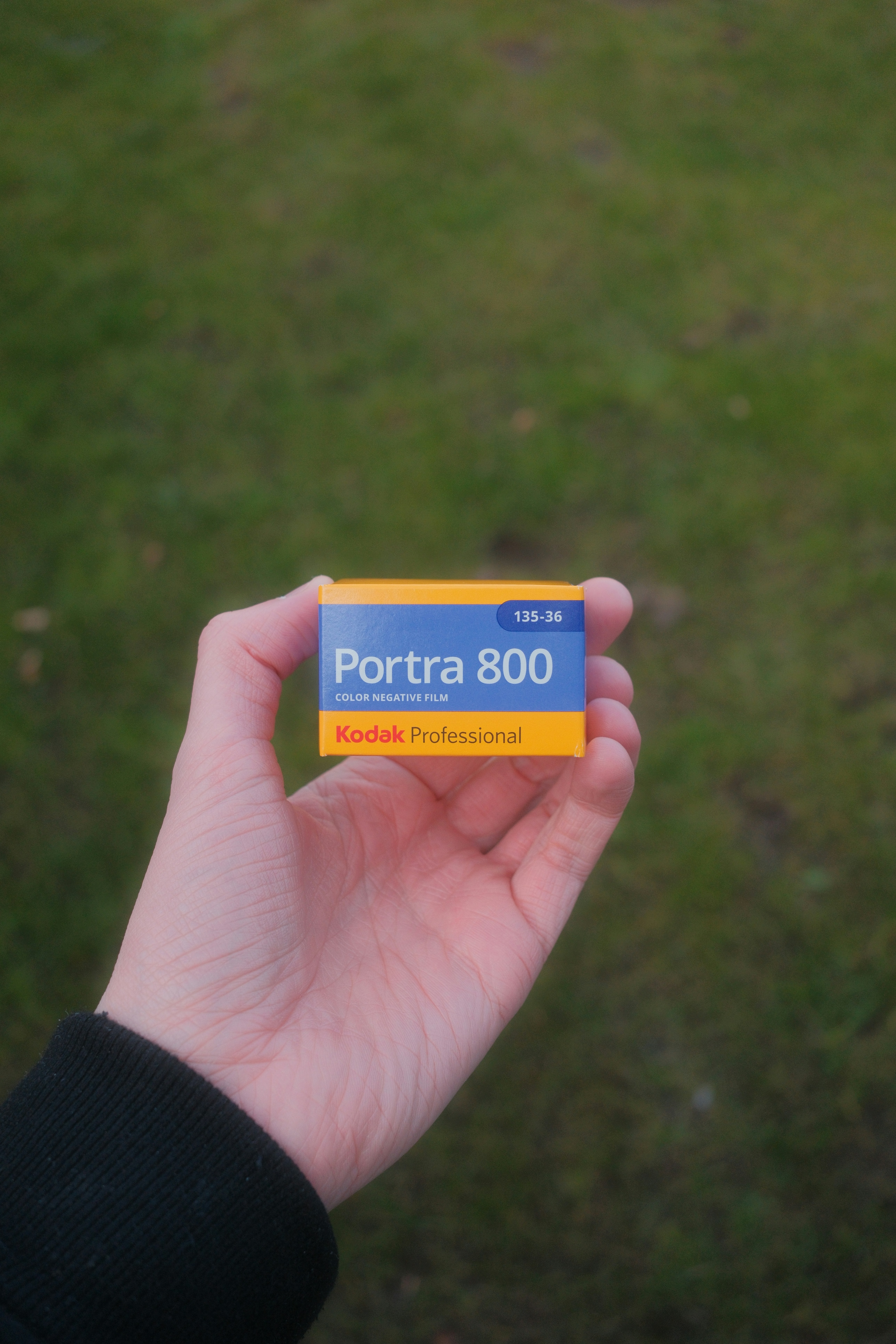 Hand holding kodak portra 800 film box