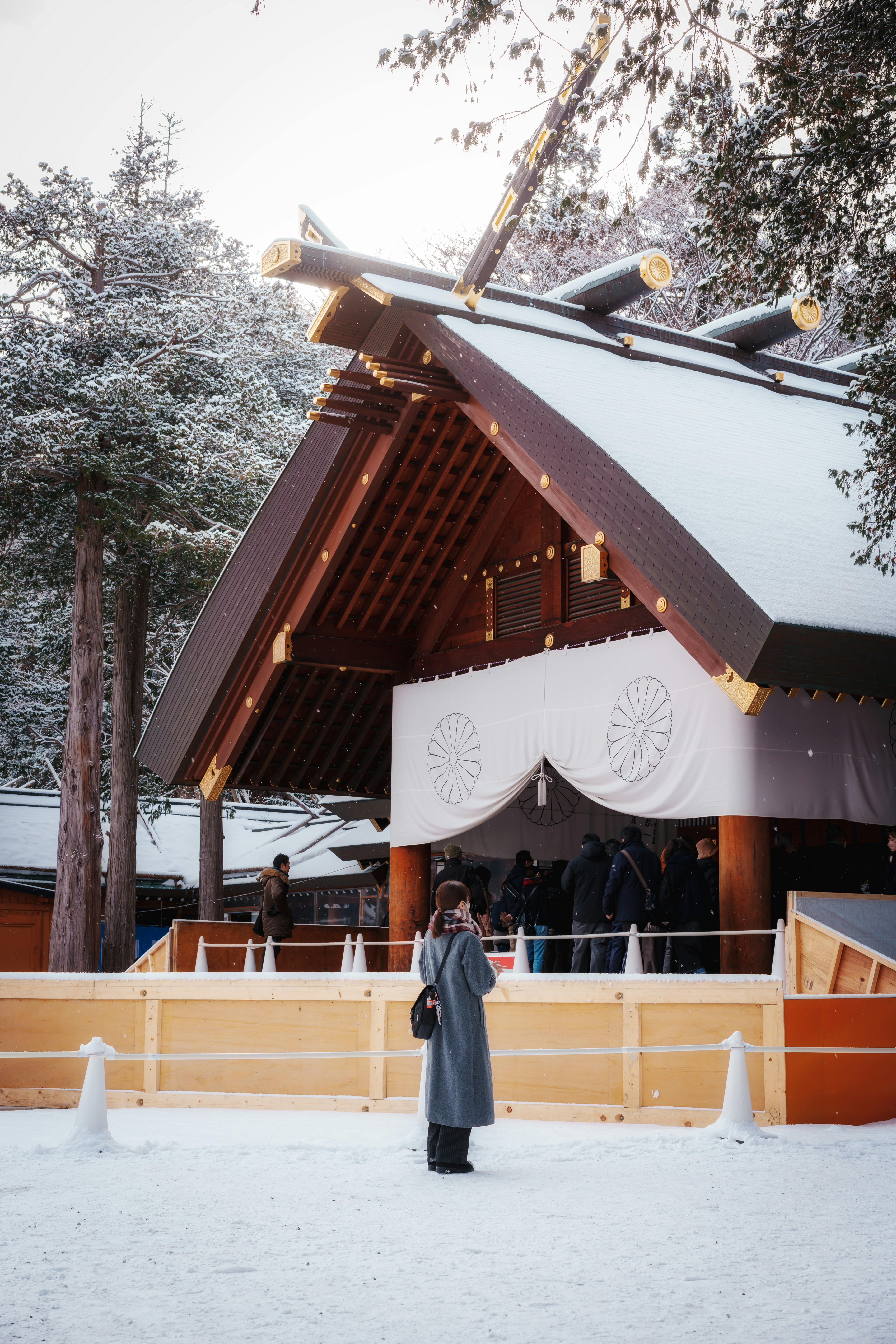 Transportation and Getting Around Hokkaido in 2026
