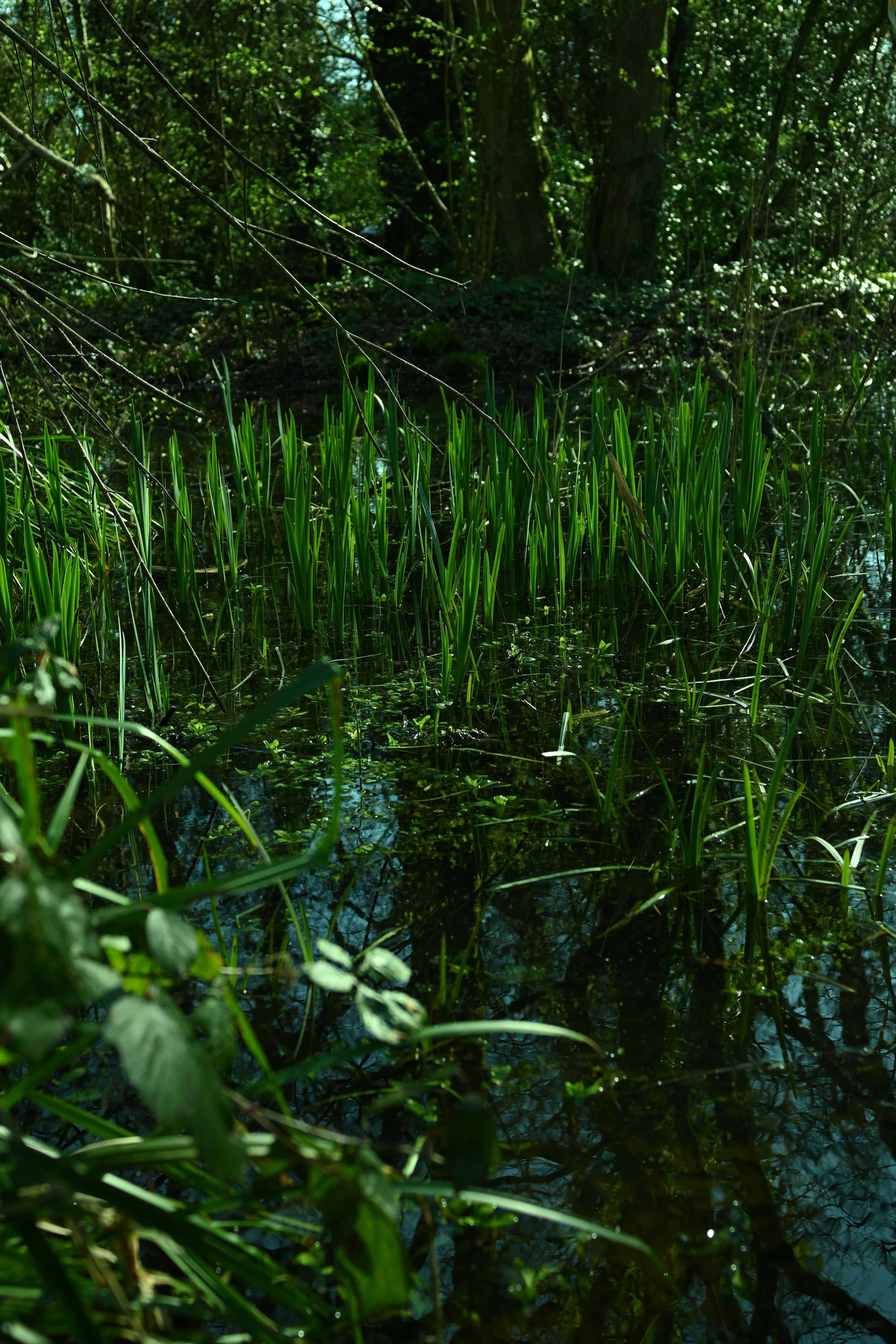 Photo by ellyendeavours