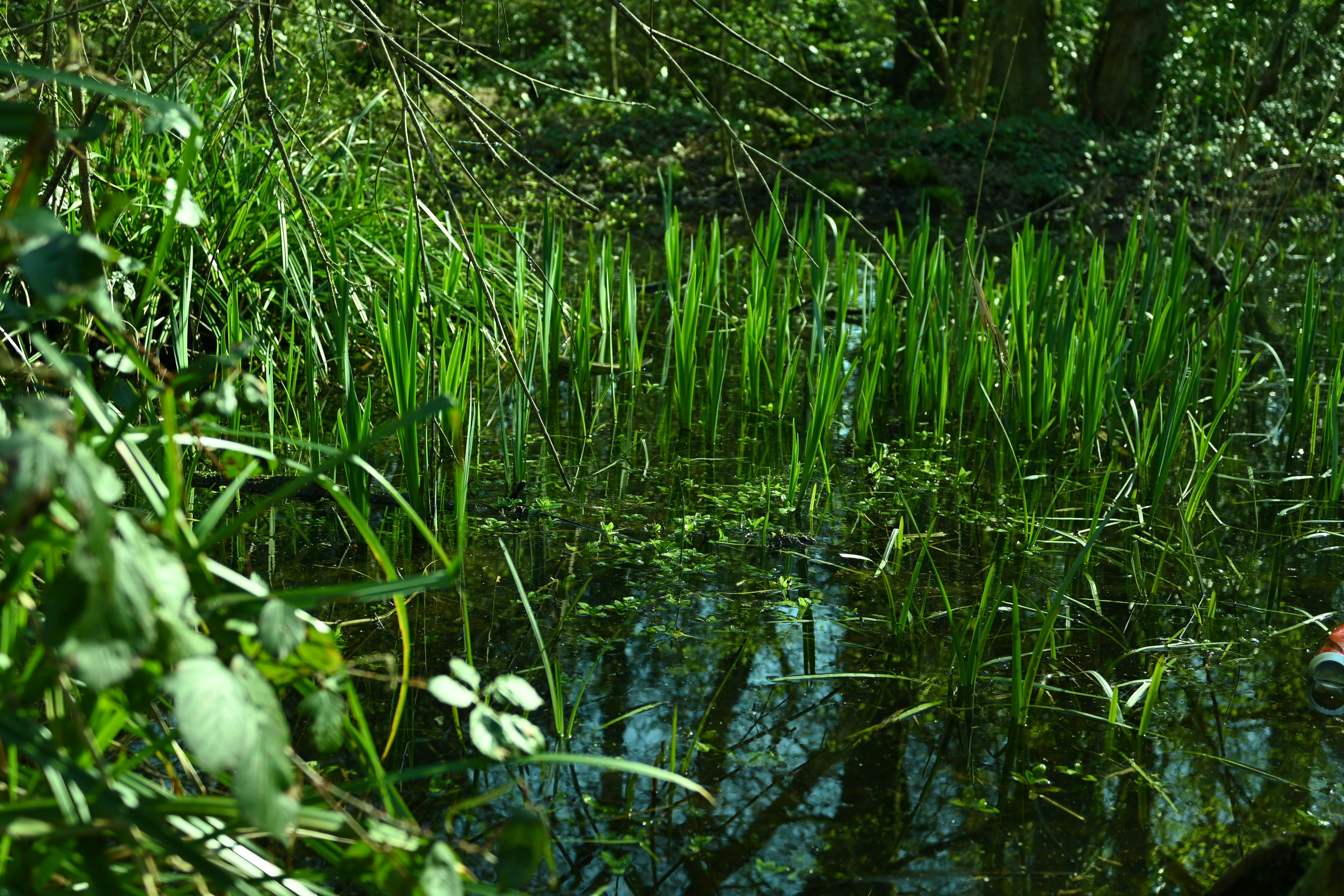 Photo by ellyendeavours