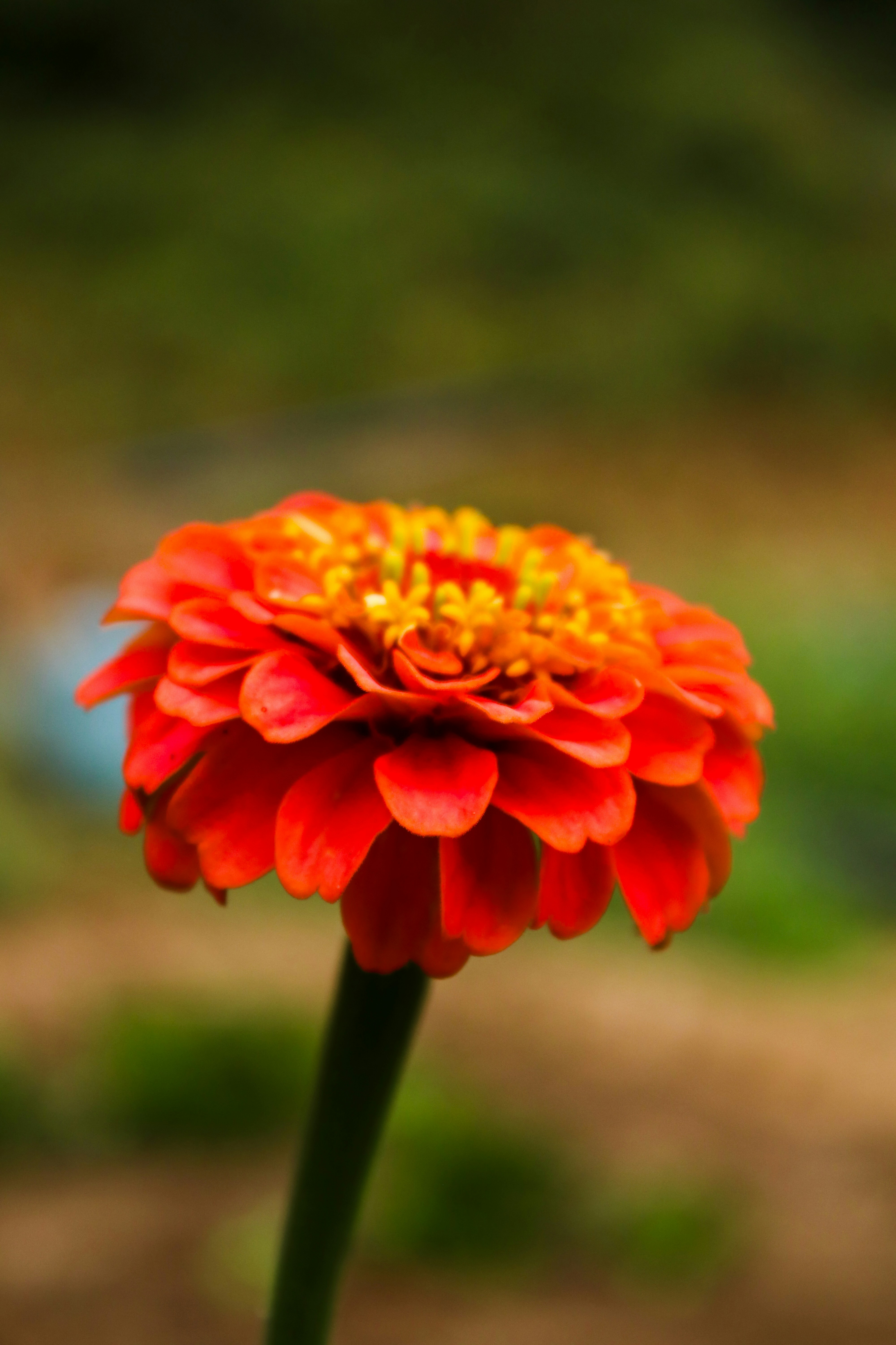 Photo by touroflexivo