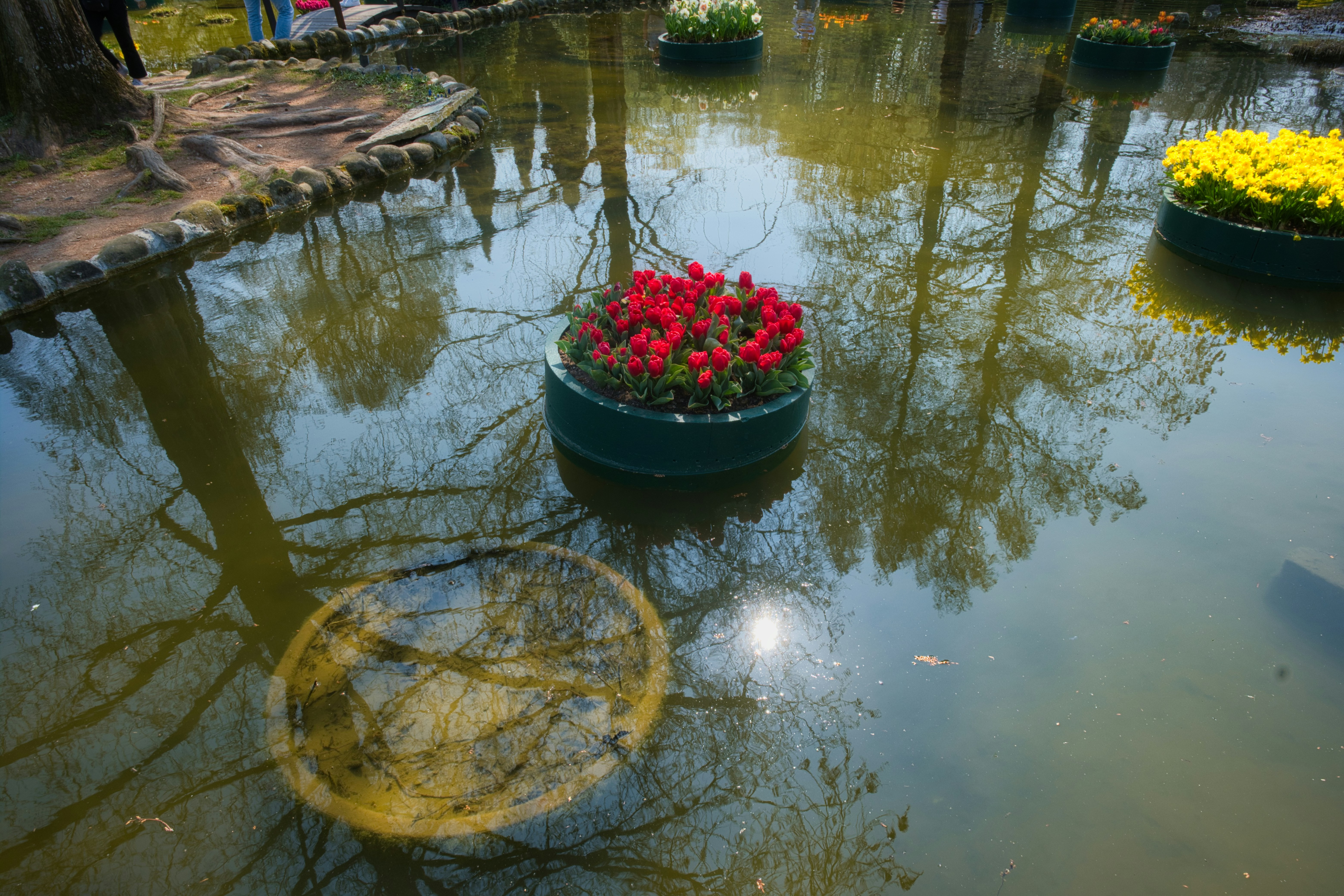 Floating flower pots with red and yellow flowers on water.