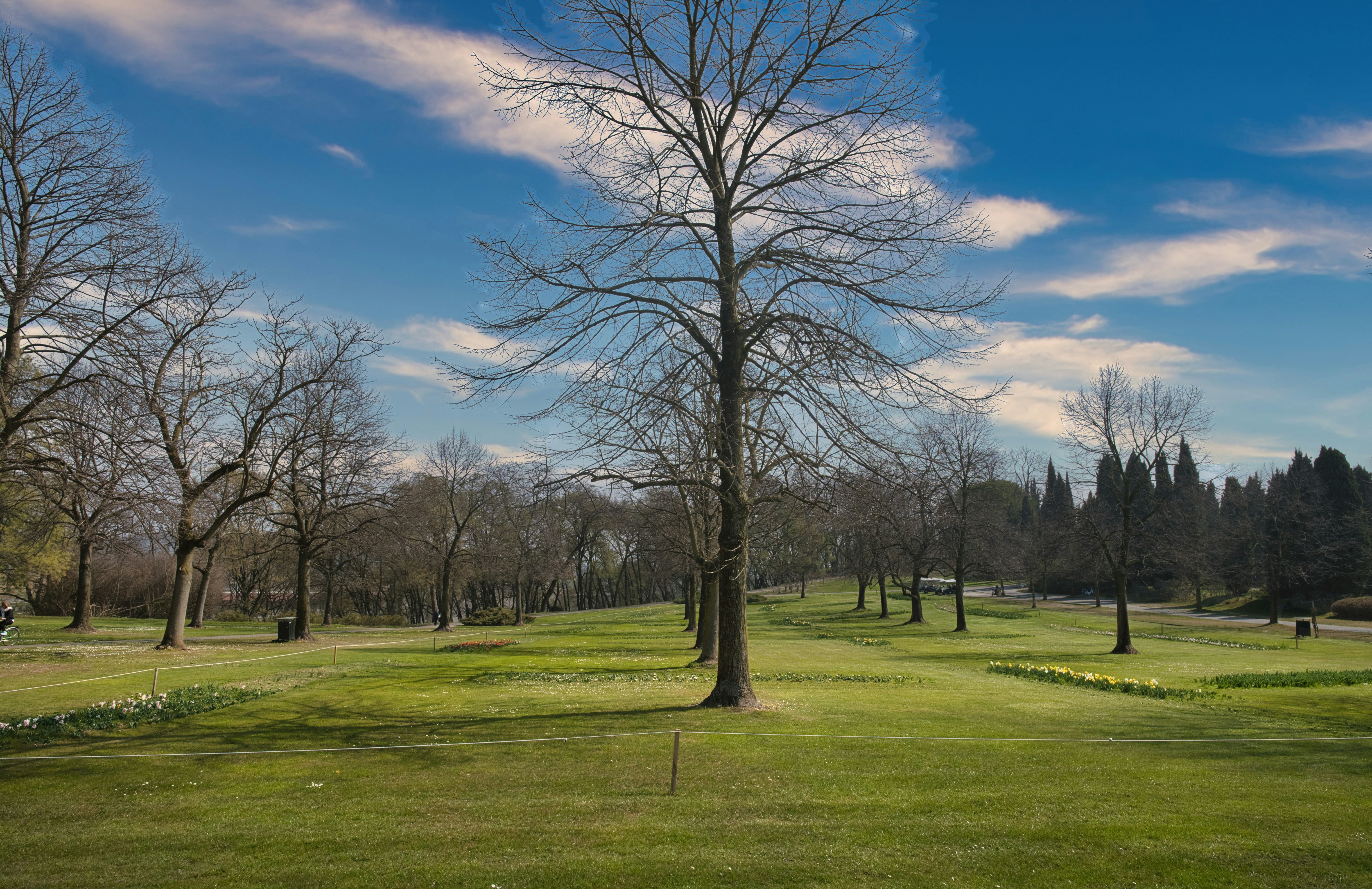 Cypress Park
