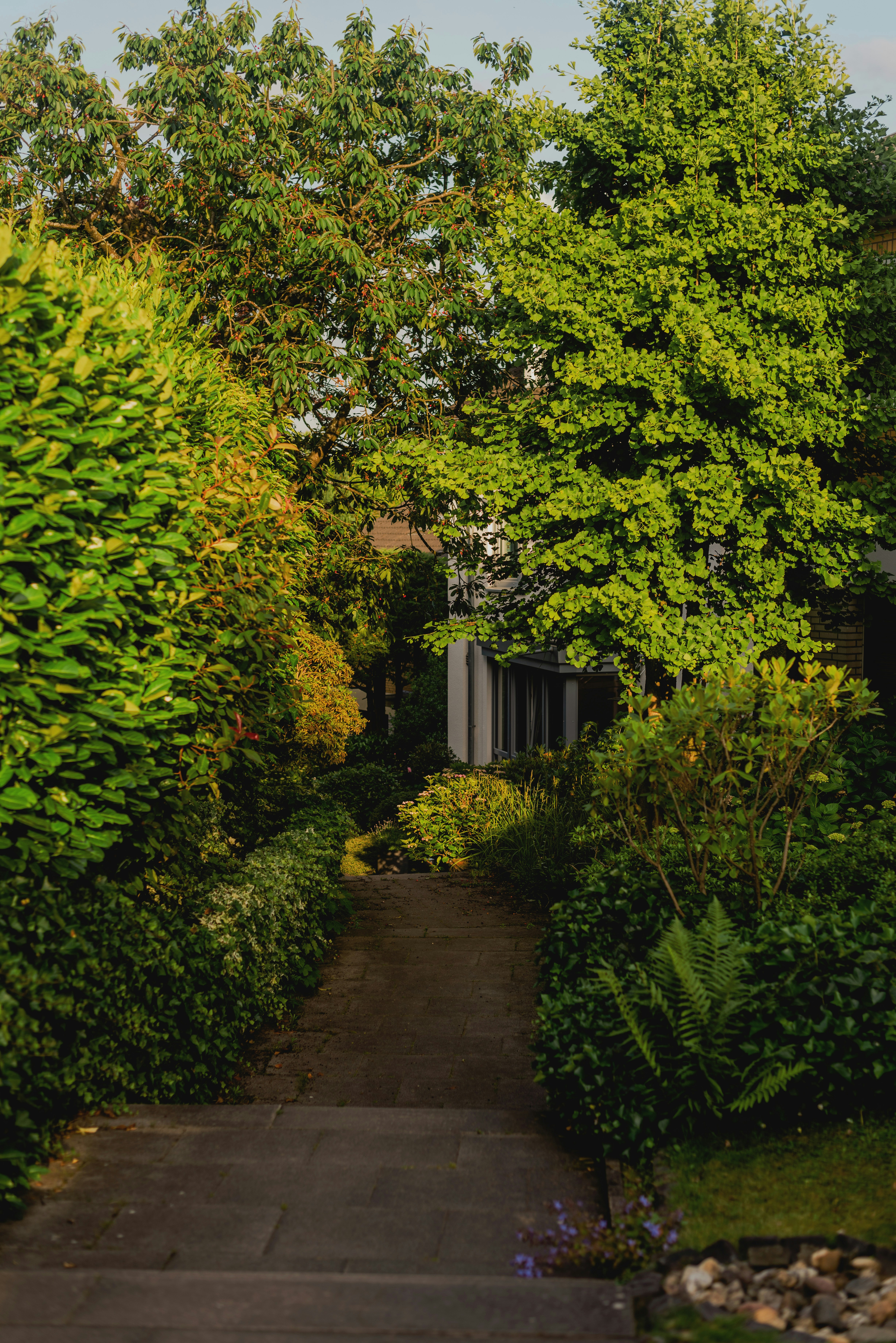 Photo by eugenivy_now