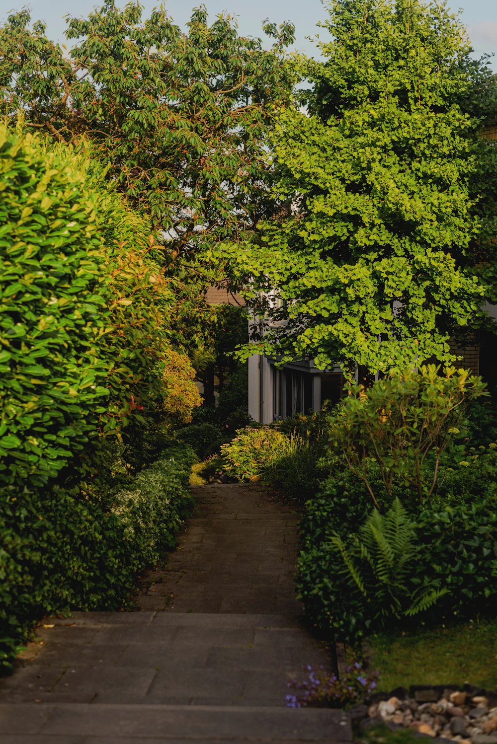 Allée paisible bordée de végétation dans un jardin verdoyant