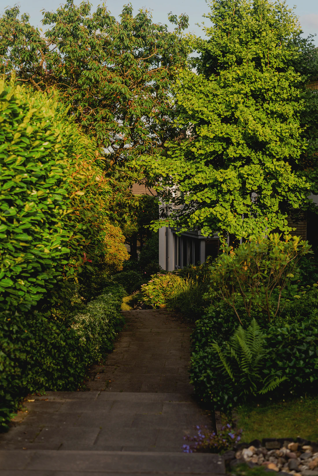 Allée paisible bordée de végétation dans un jardin verdoyant